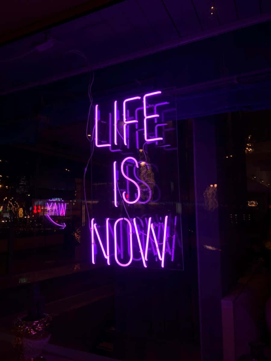 Neon Quotes, LIFE IS NOW, glowing purple neon sign, SD Phone Wallpaper