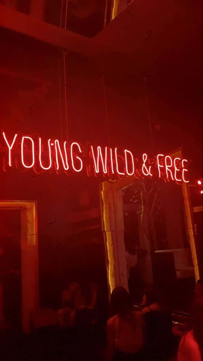 Neon Quotes, glowing red neon sign, young wild free, SD Phone Wallpaper