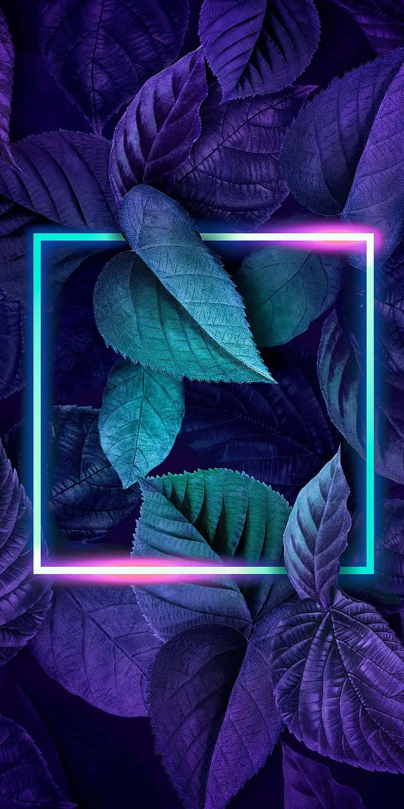 neon green, purple, teal, HD Phone Wallpaper