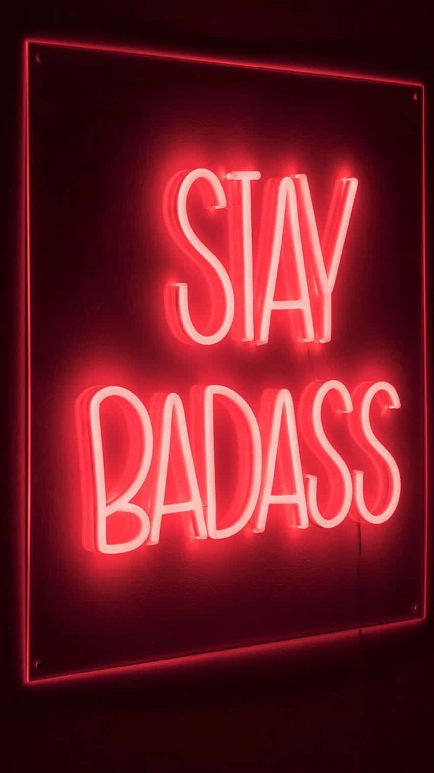 STAY BADASS, glowing red neon sign, bold cursive letters, HD Phone Wallpaper