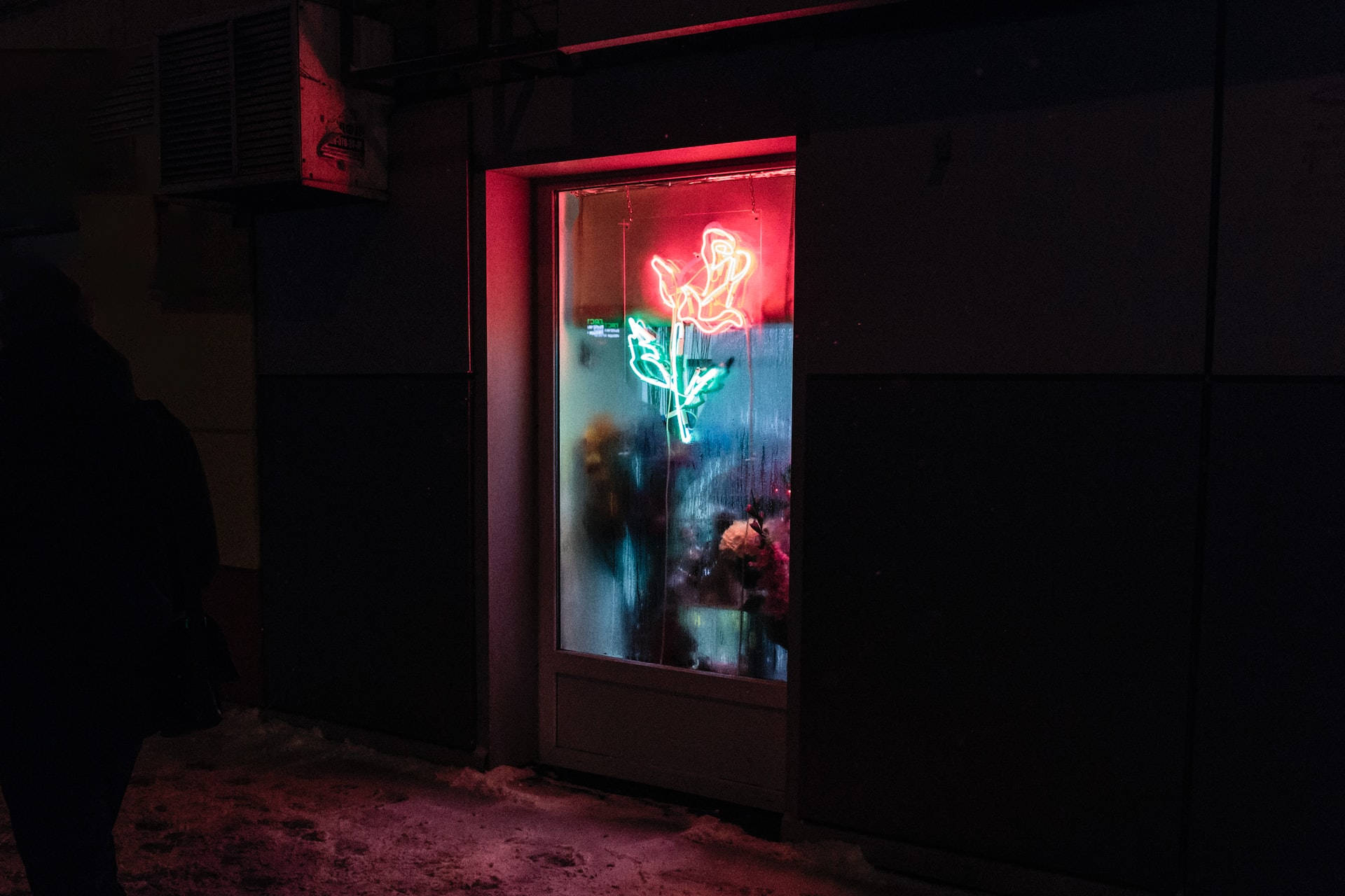 Night Aesthetic Rose Neon Sign, glowing red and green neon, frosty storefront window, Full HD Desktop Wallpaper
