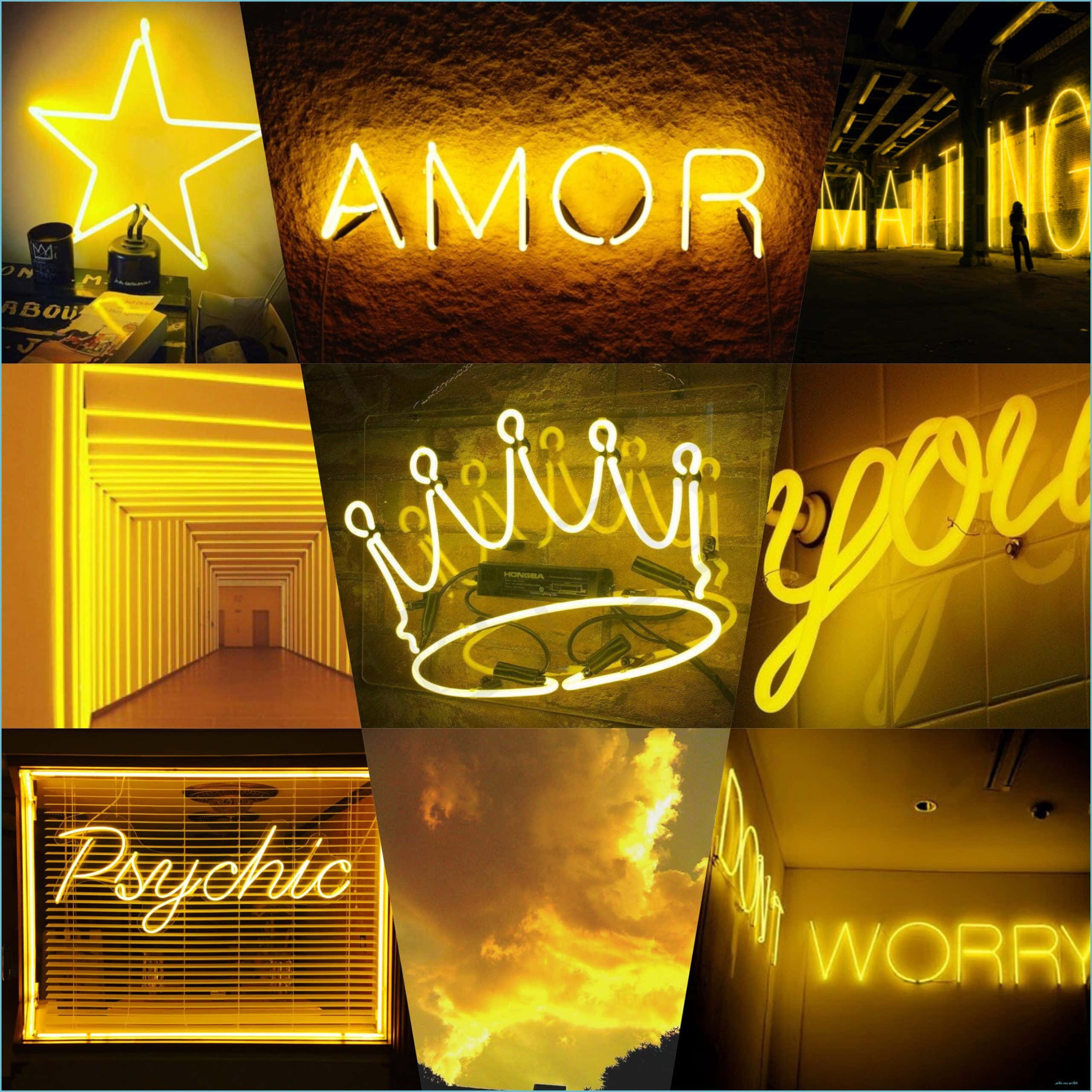 yellow neon signs, amor, you, 2K Desktop Wallpaper
