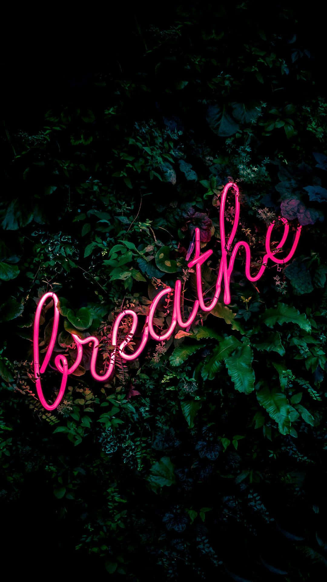 breathe, glowing pink neon sign, dense dark green foliage, Full HD Phone Wallpaper
