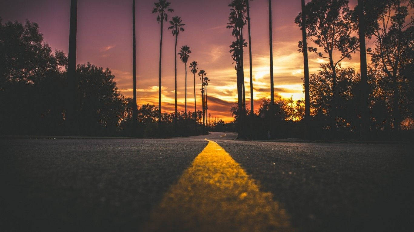 Neon Yellow, sunset, winding road, HD Desktop Wallpaper