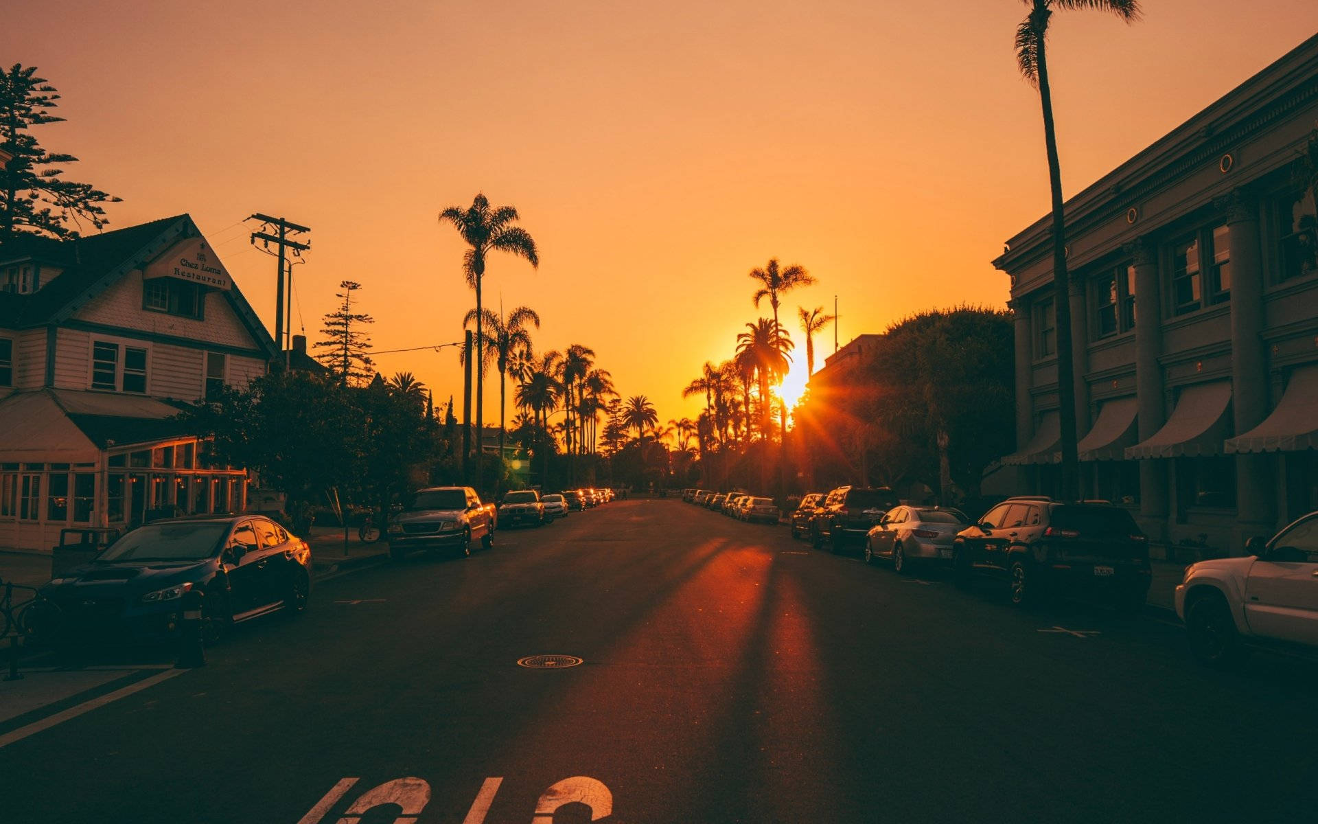 Neon Yellow Sunset, sunburst, palm trees, Full HD Desktop Wallpaper