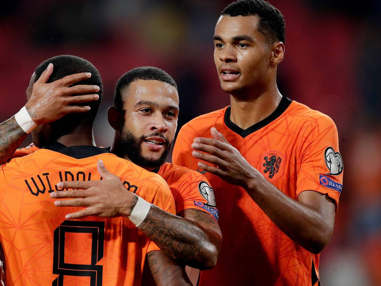Netherlands National Football Team, orange jerseys, stadium field, HD Desktop Wallpaper