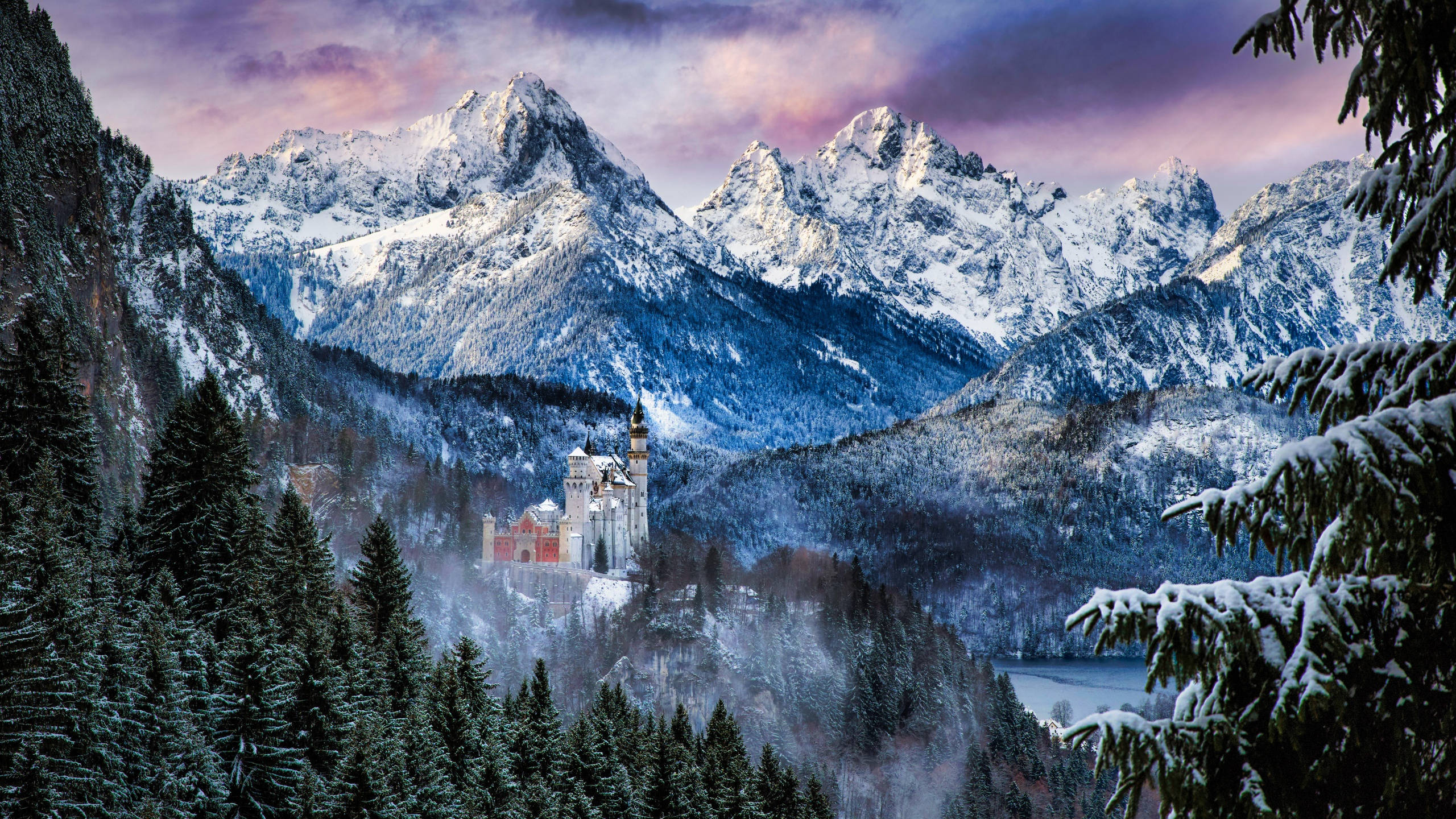 Neuschwanstein Castle, pink sky, winter, 2K Desktop Wallpaper