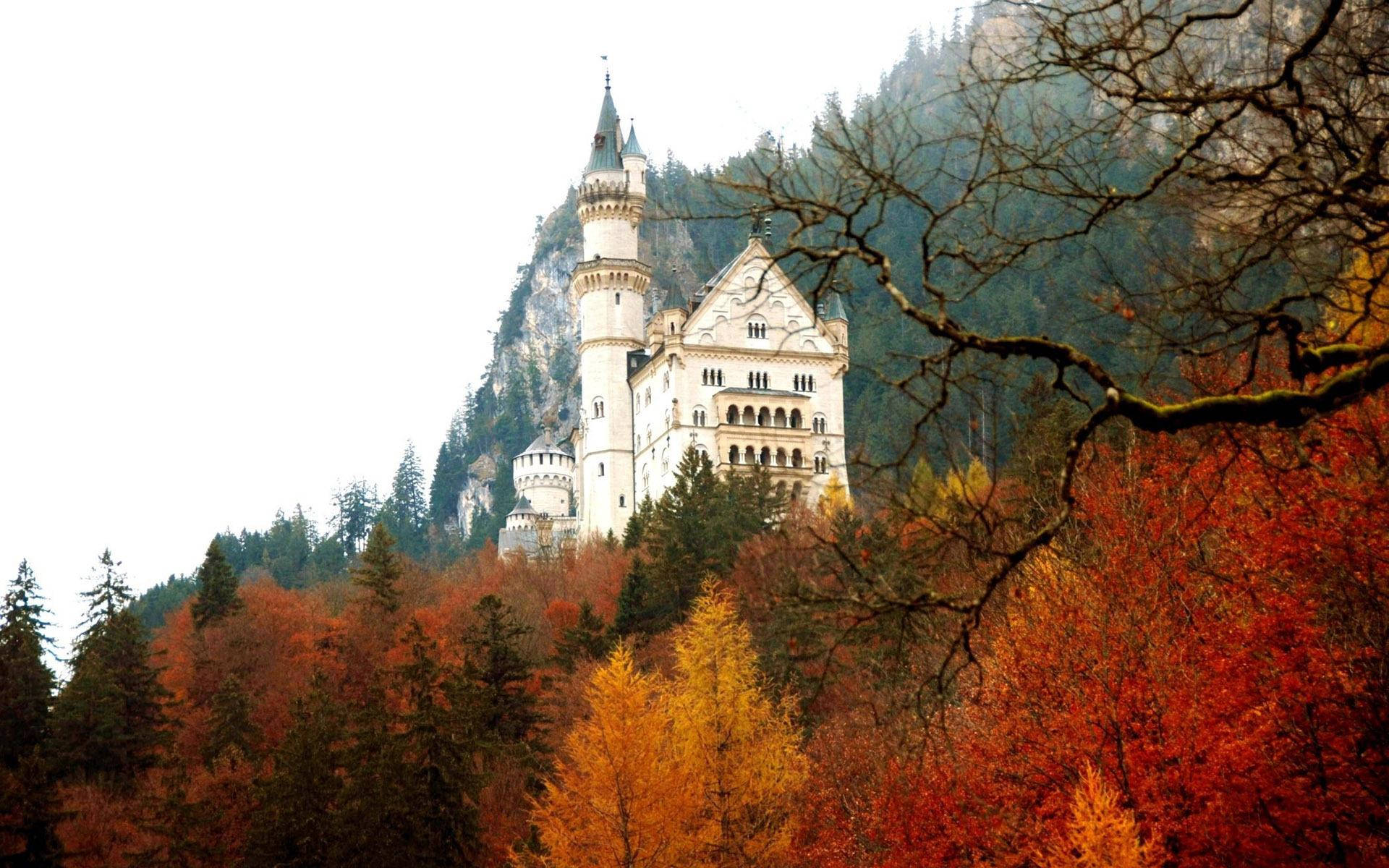 Neuschwanstein Castle, red trees, autumn foliage, Full HD Desktop Wallpaper