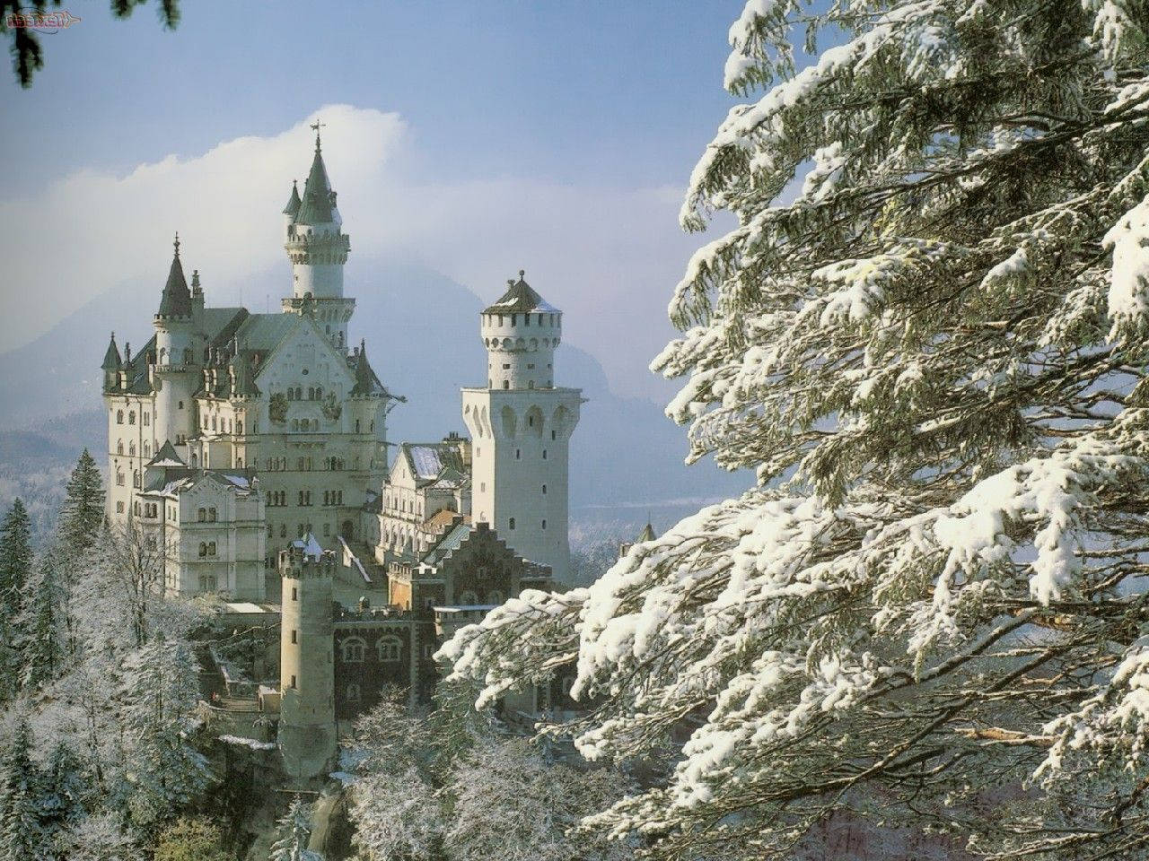 Neuschwanstein Castle, snow-covered, frosted evergreen trees, HD Desktop Wallpaper