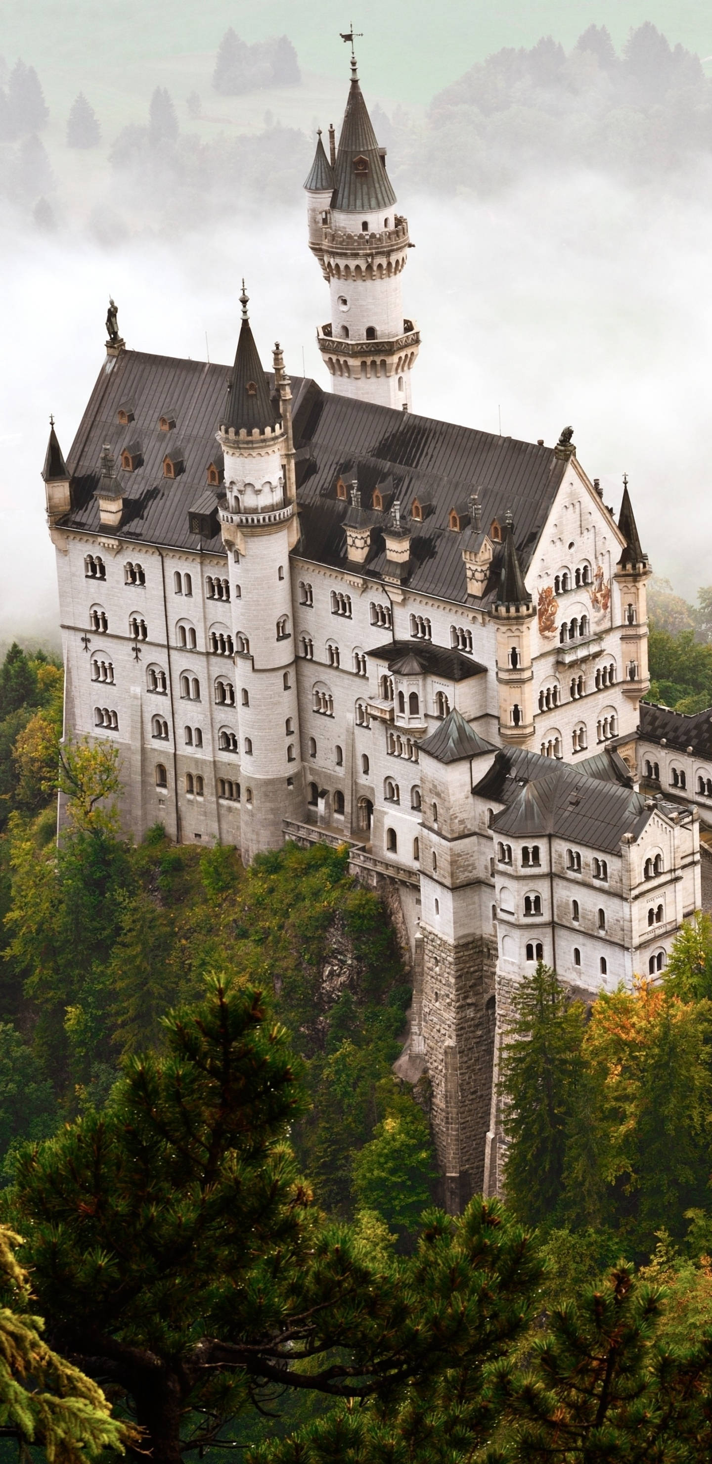 Neuschwanstein Castle, aerial view, fog, 2K Phone Wallpaper