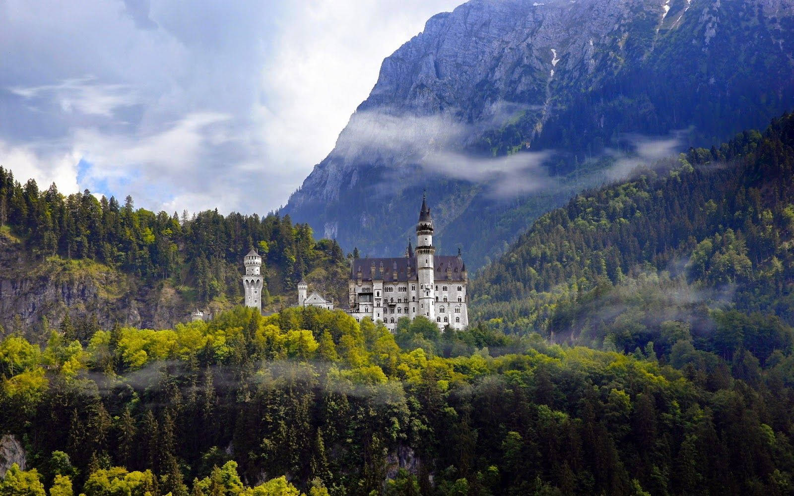 Neuschwanstein Castle, white castle, forested hillside, HD Desktop Wallpaper