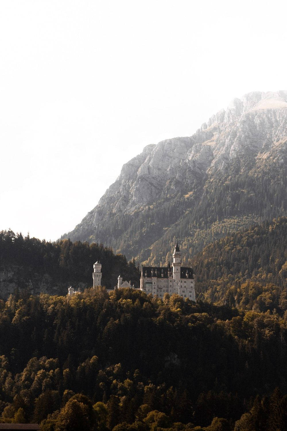 Neuschwanstein Castle, white castle, forested hillside, HD Phone Wallpaper