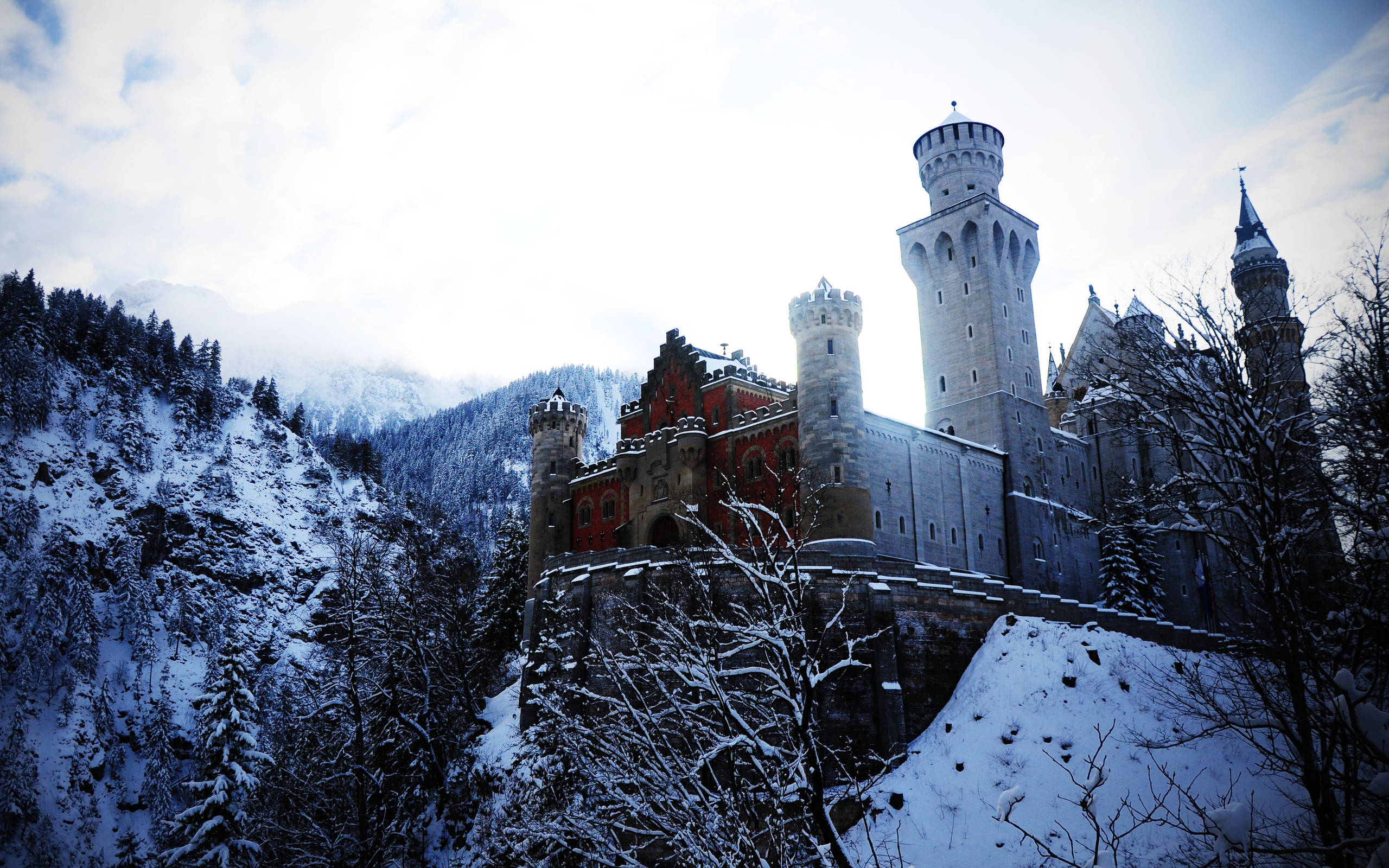 Neuschwanstein Castle, snow-covered, winter forest, 2K Desktop Wallpaper