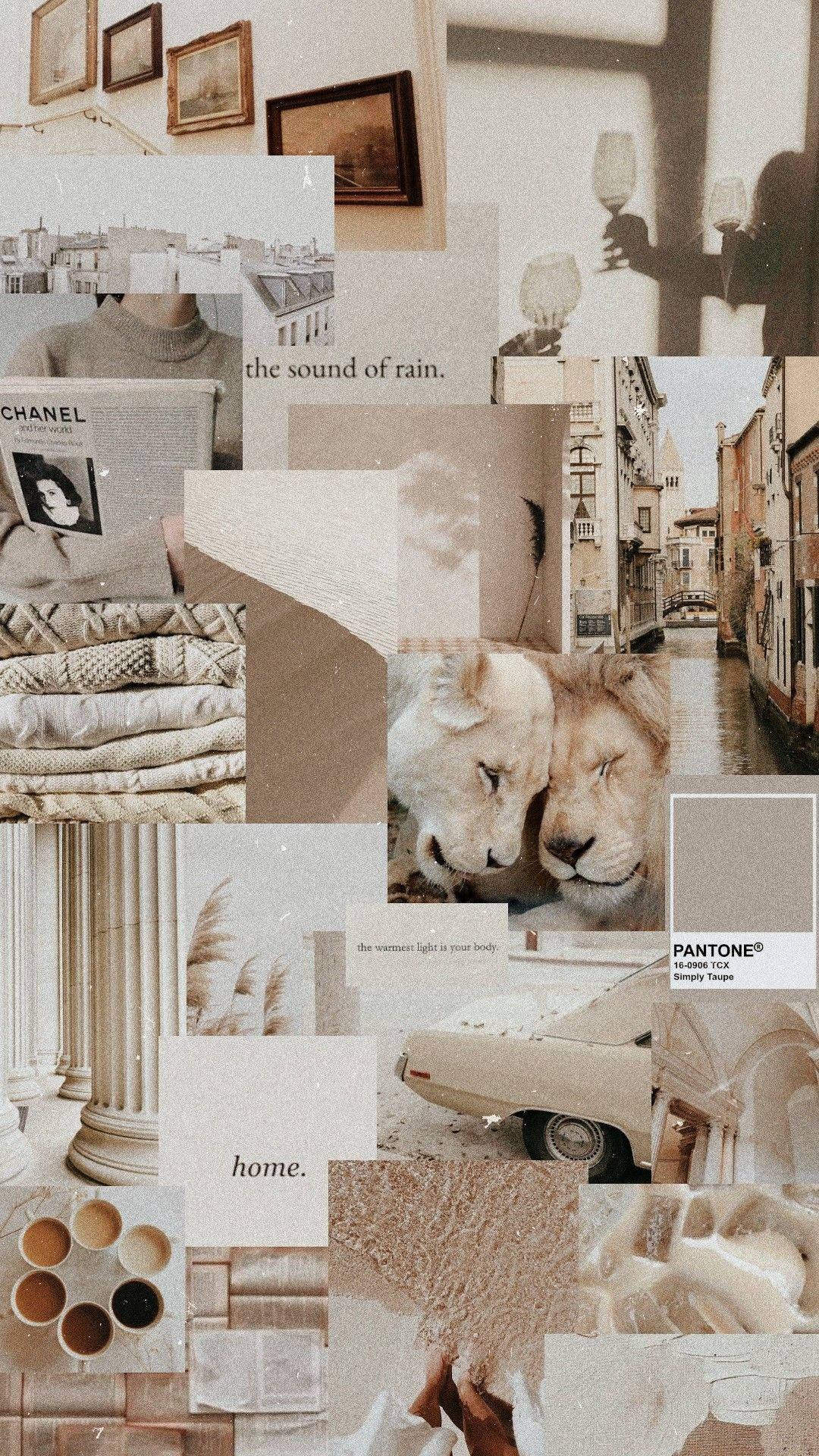 light brown, vintage photos, lions, Full HD Phone Wallpaper