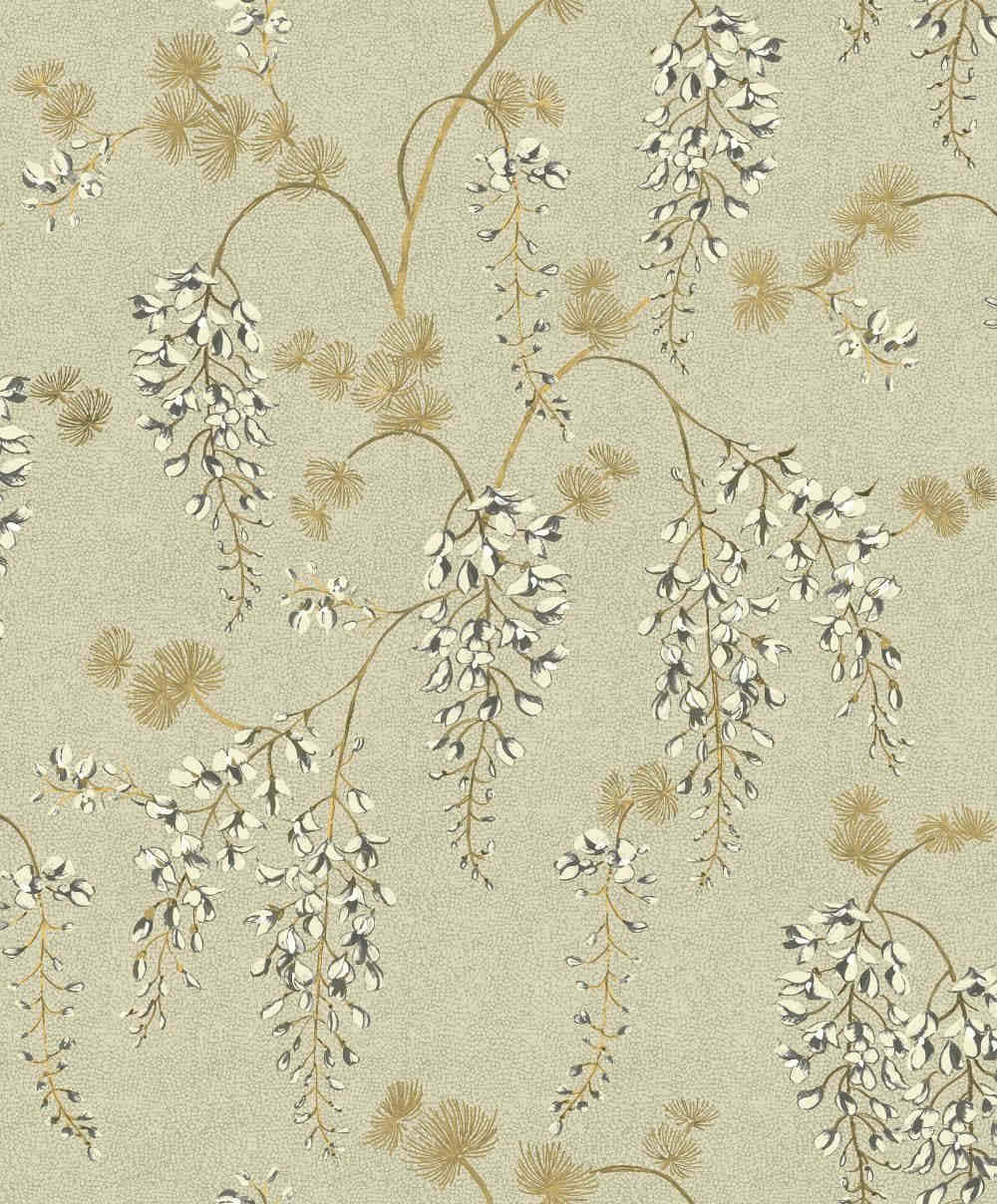 wisteria vines, blossoms, soft beige gold, SD Phone Wallpaper