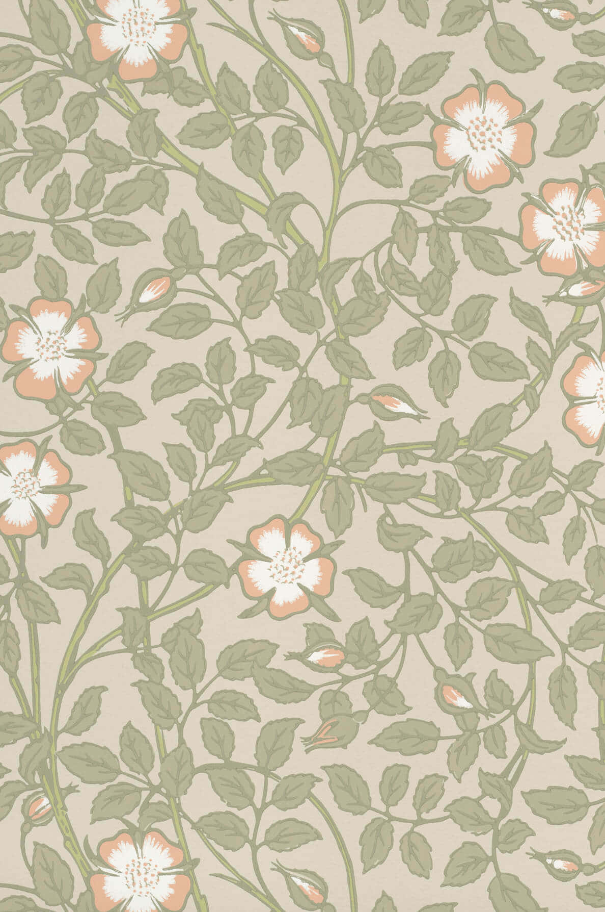 Neutral Floral Pattern Background, vintage wallpaper, repeating rose vines, HD Phone Wallpaper