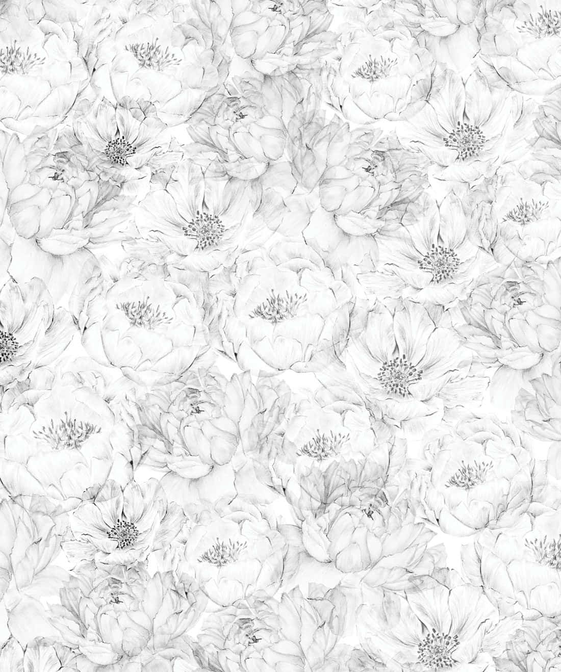 Neutral Floral, monochrome floral pattern, delicate pencil-drawn peonies, HD Phone Wallpaper