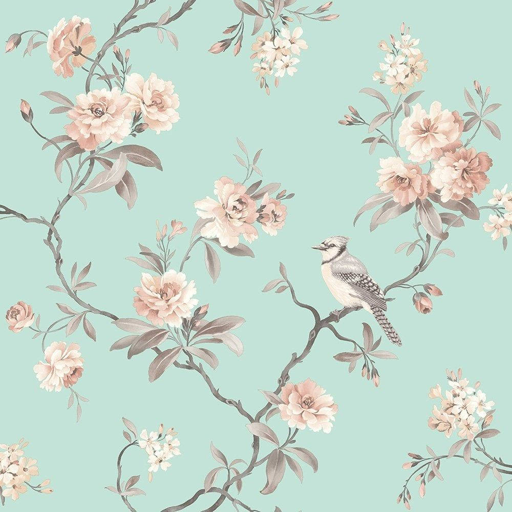 soft pink roses, blossoms, blue jay, SD Desktop Wallpaper