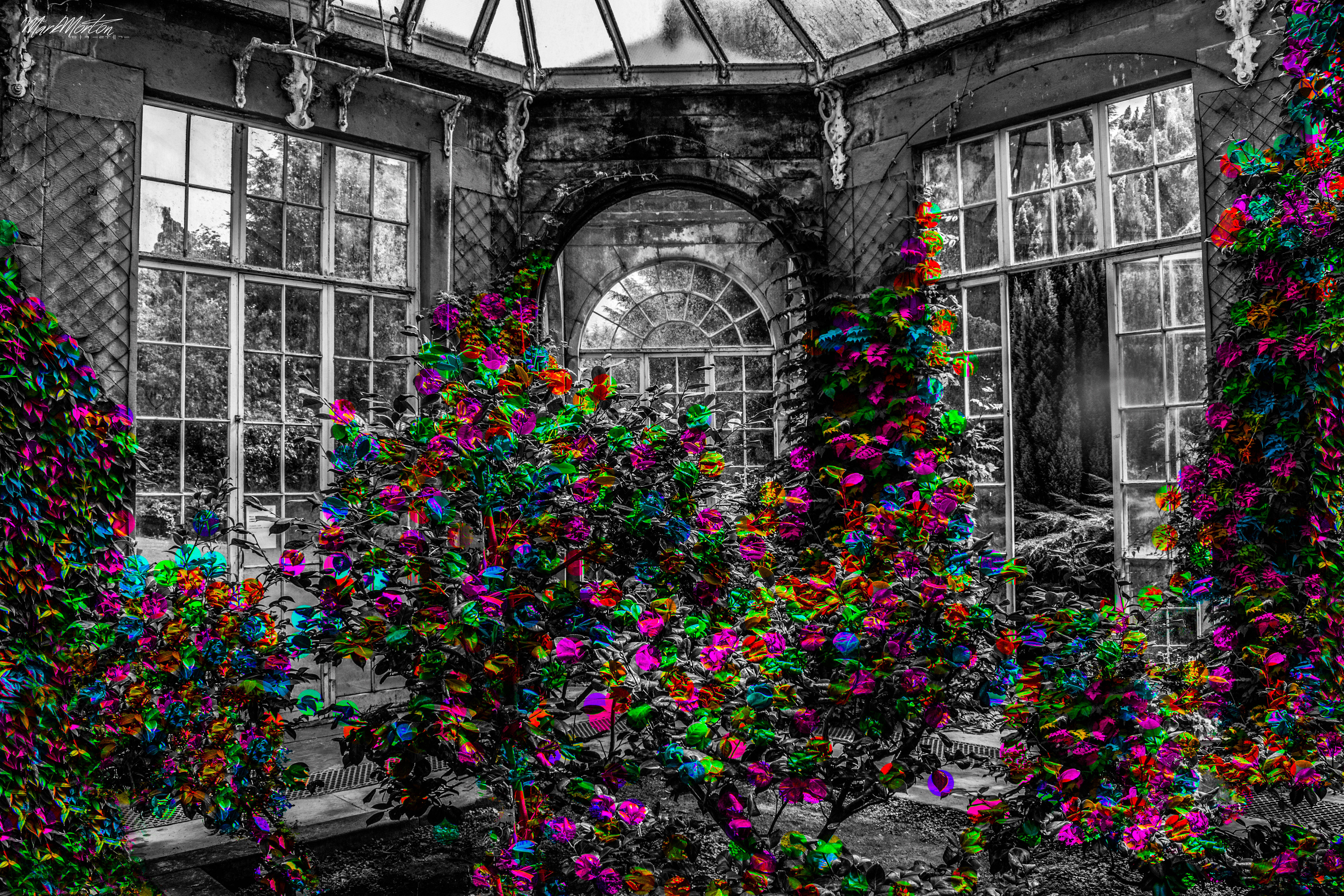 monochrome greenhouse, arched windows, hanging icicles, 5K Desktop Wallpaper
