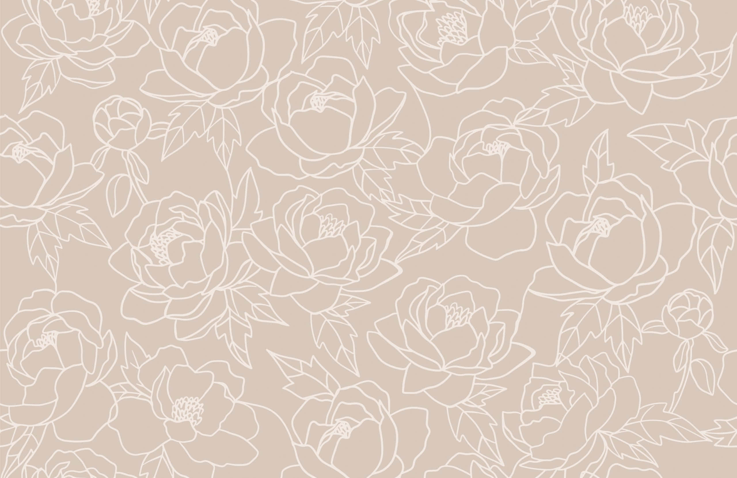Neutral Floral, beige, white line drawings, 2K Desktop Wallpaper