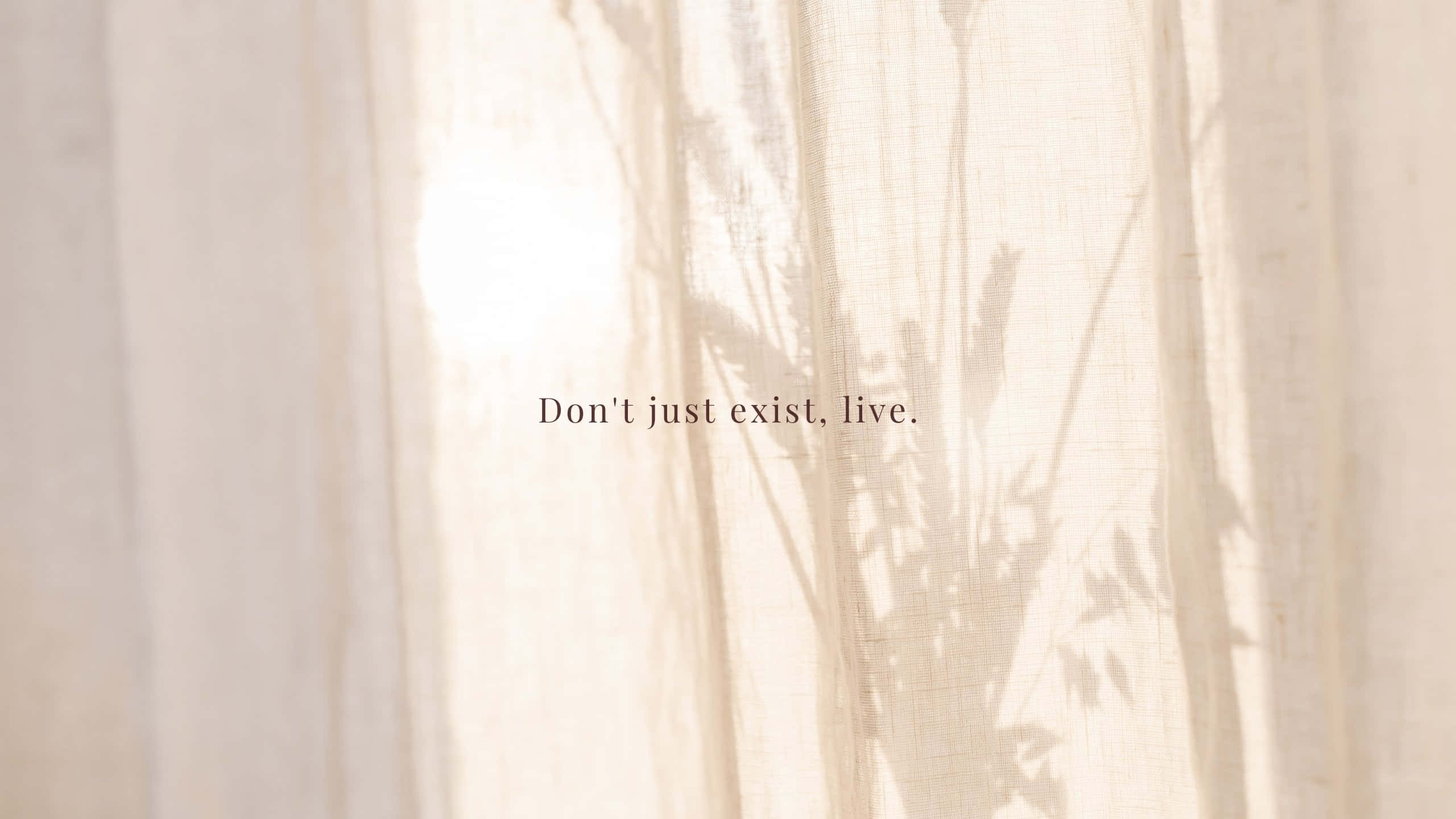 beige aesthetic, soft sunlight, sheer curtains, 2K Desktop Wallpaper