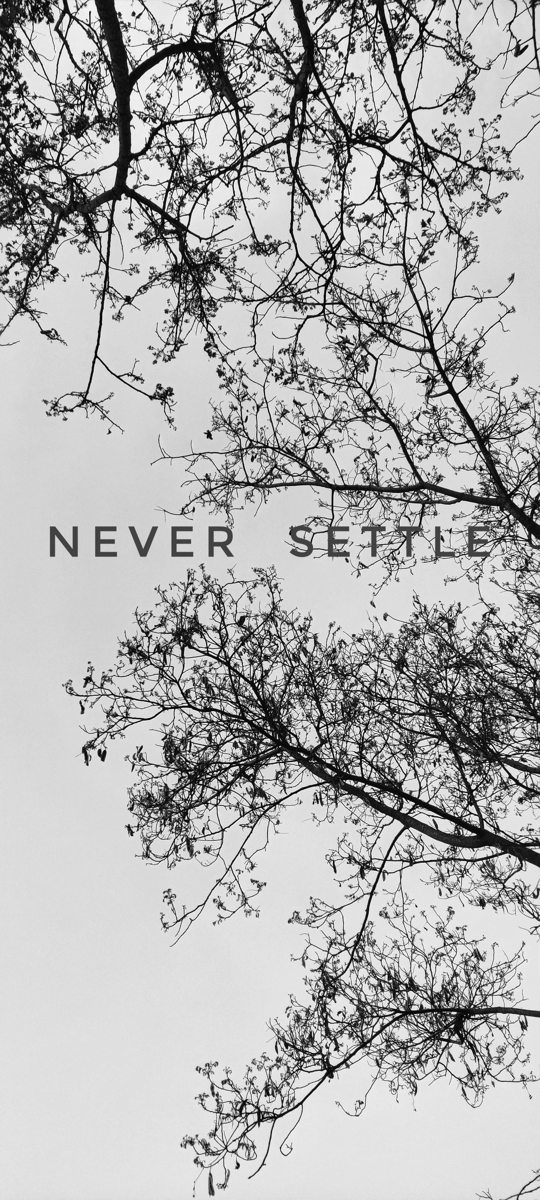 Never Settle, white, black, 4K Phone Wallpaper
