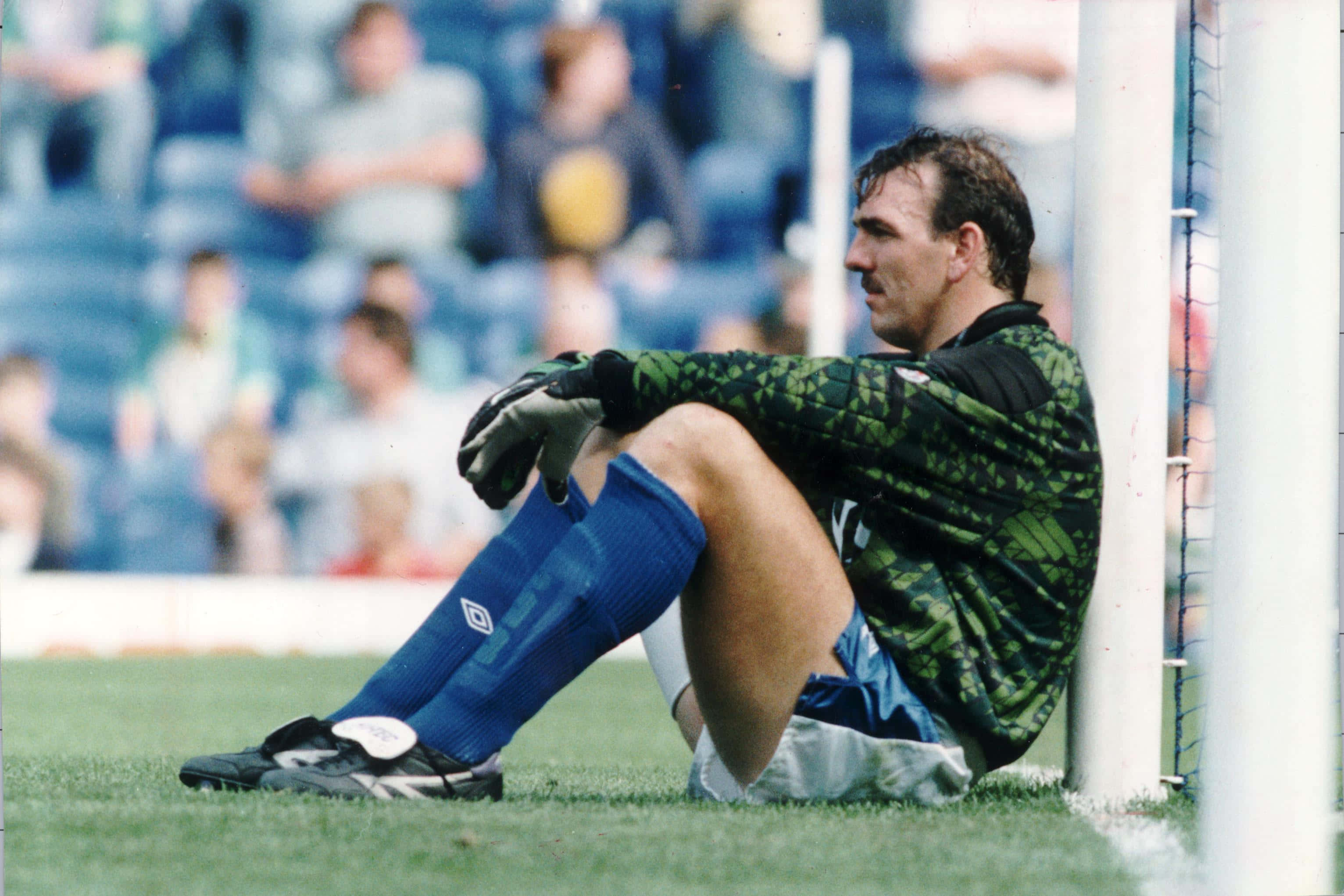 Neville Southall, goalpost, green camouflage kit, 2K Desktop Wallpaper