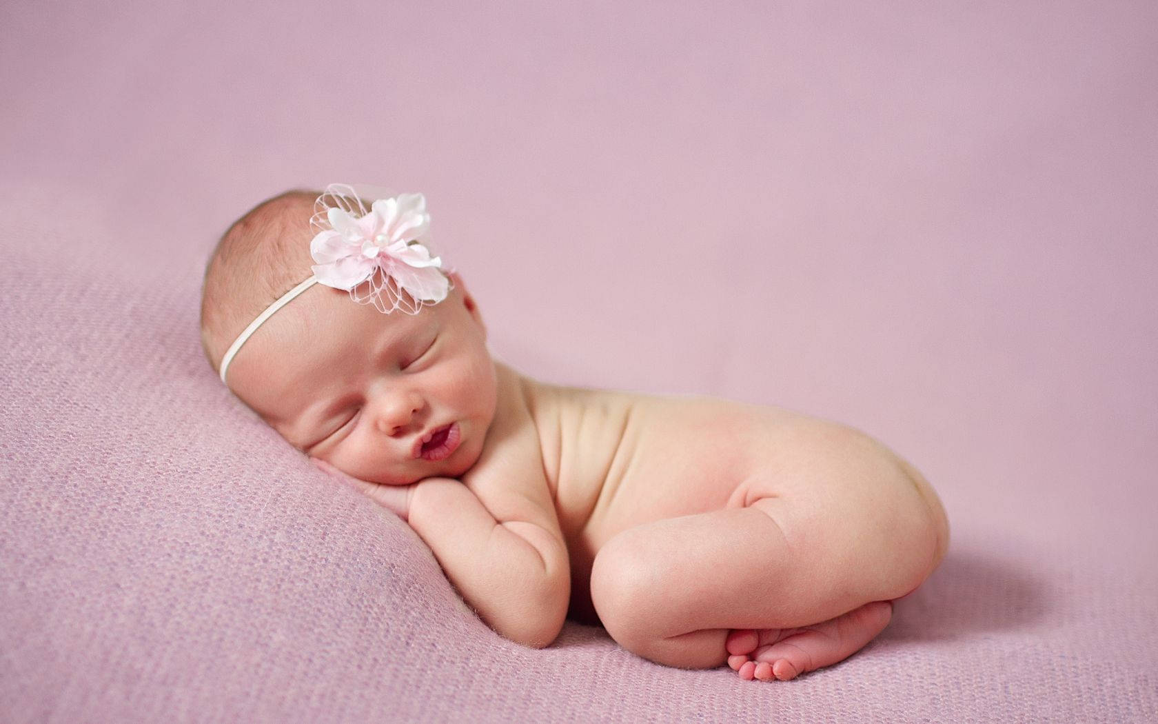 newborn baby, lavender blanket, pink floral headband, HD Desktop Wallpaper