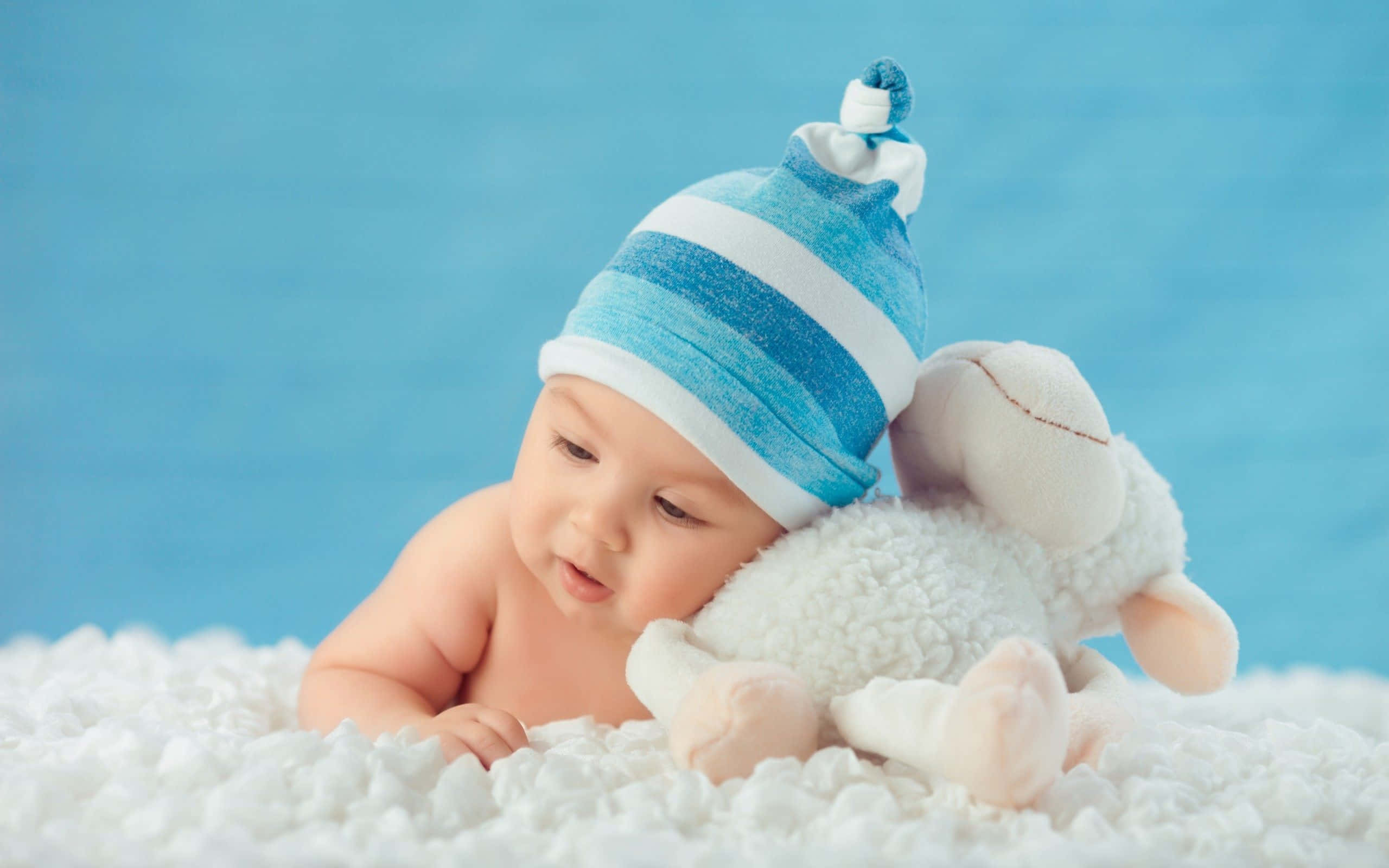 baby, blue and white striped hat, plush sheep, 2K Desktop Wallpaper