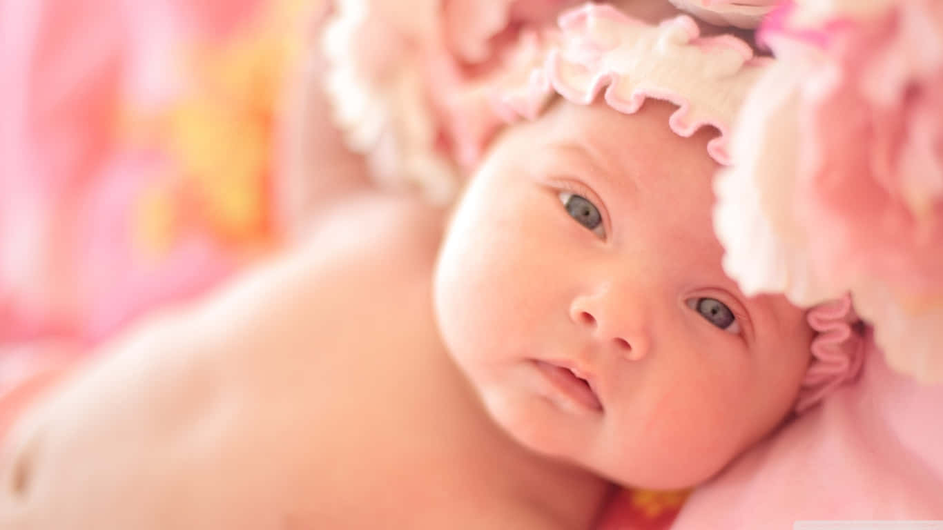 pink bonnet, blue eyes, pink frilly headband, HD Desktop Wallpaper