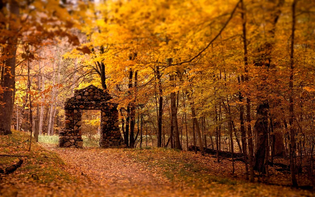New England Autumn