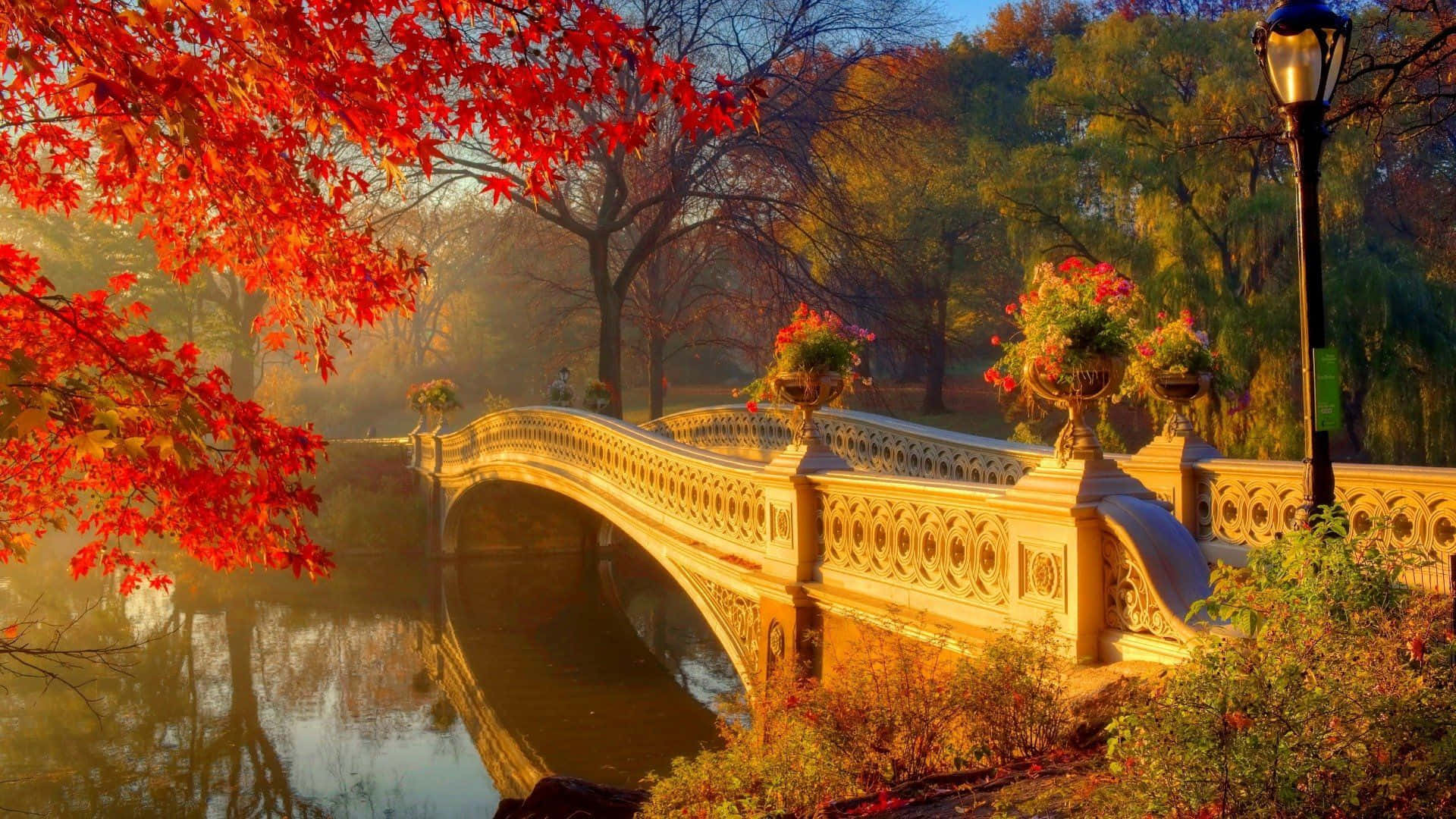 New England Autumn, golden autumn bridge, misty pond, Full HD Desktop Wallpaper