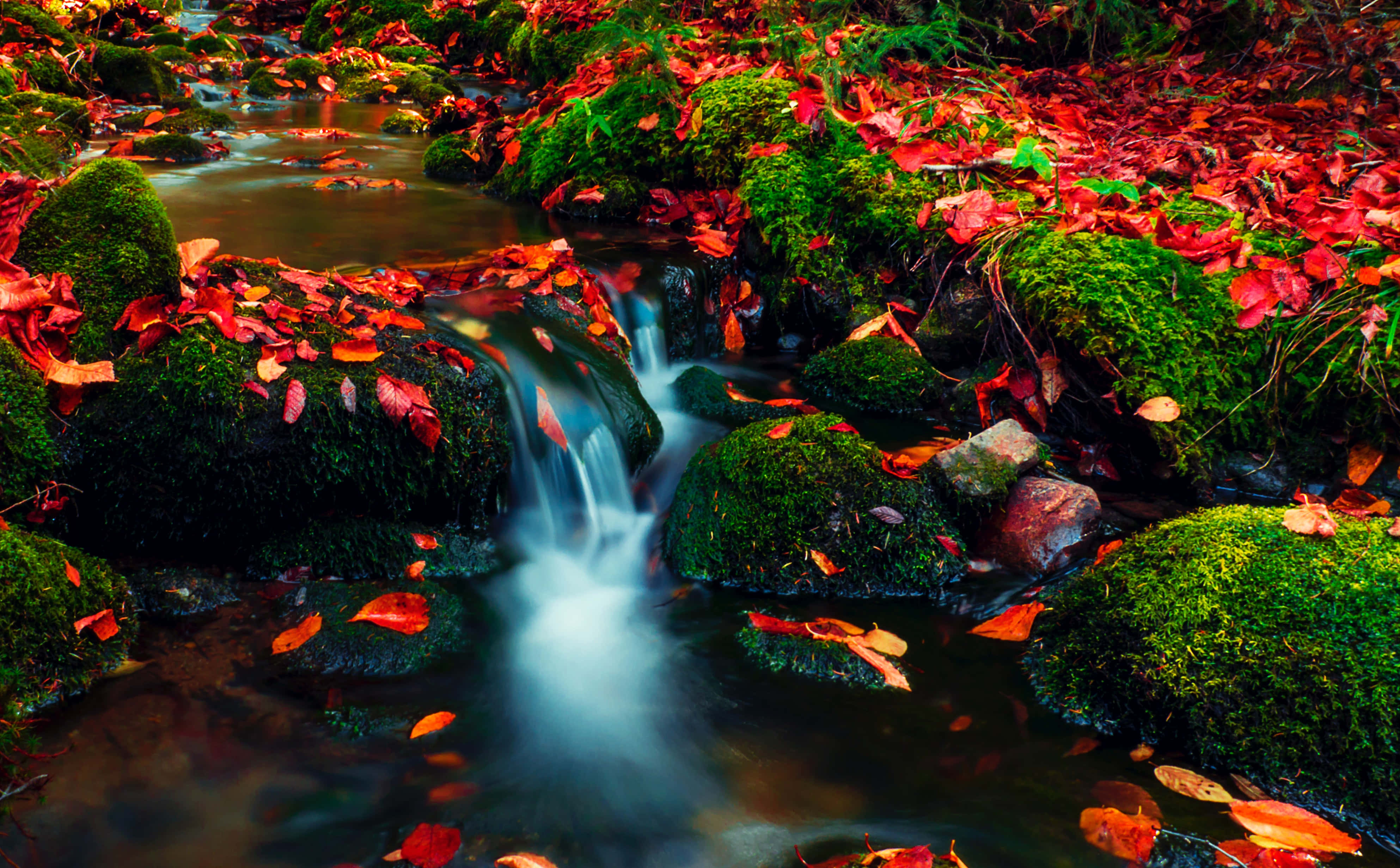 New England Autumn, autumn stream, mossy rocks, 4K Desktop Wallpaper