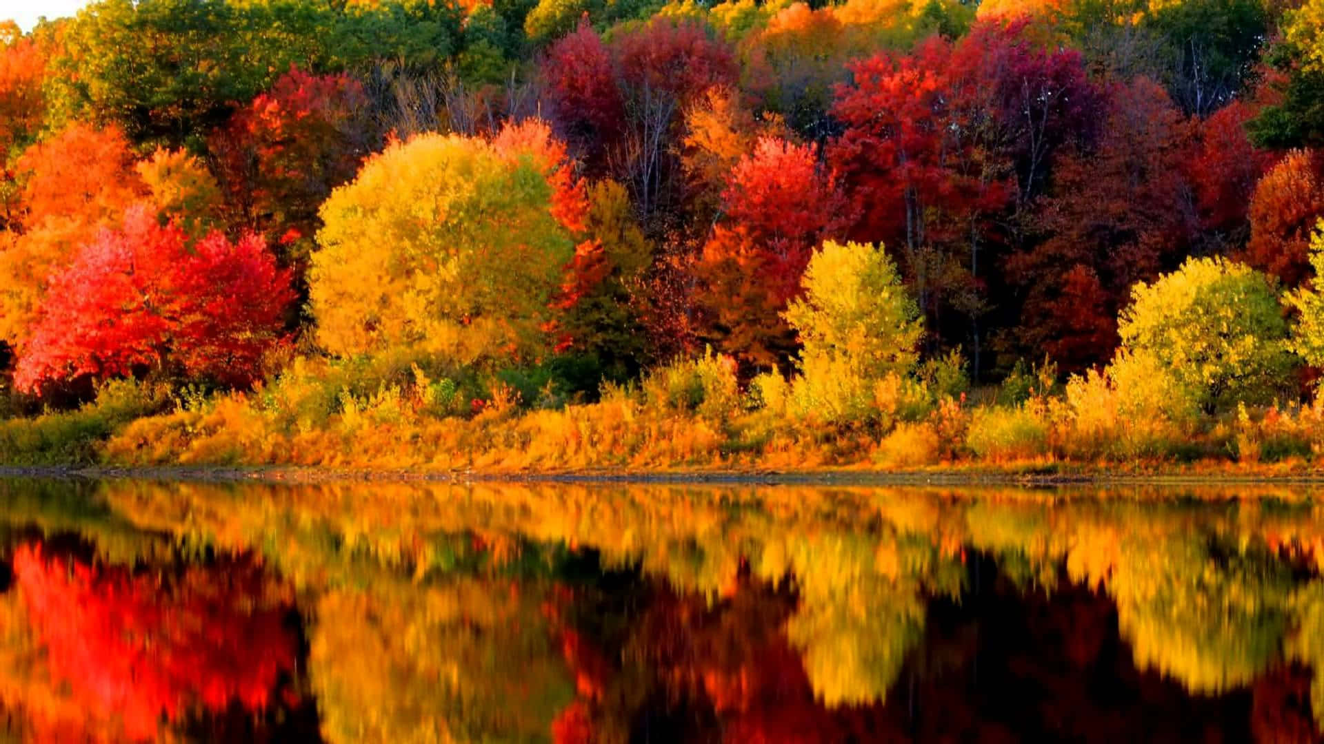 New England, autumn, fiery reds, Full HD Desktop Wallpaper