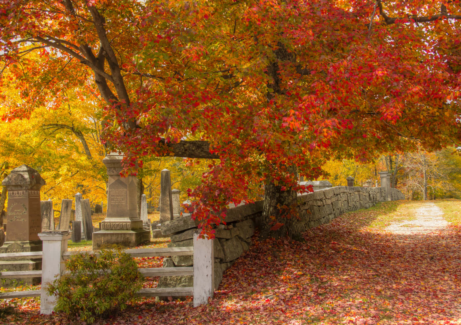 New England Autumn, fiery red and orange leaves, stone wall, HD Desktop Wallpaper