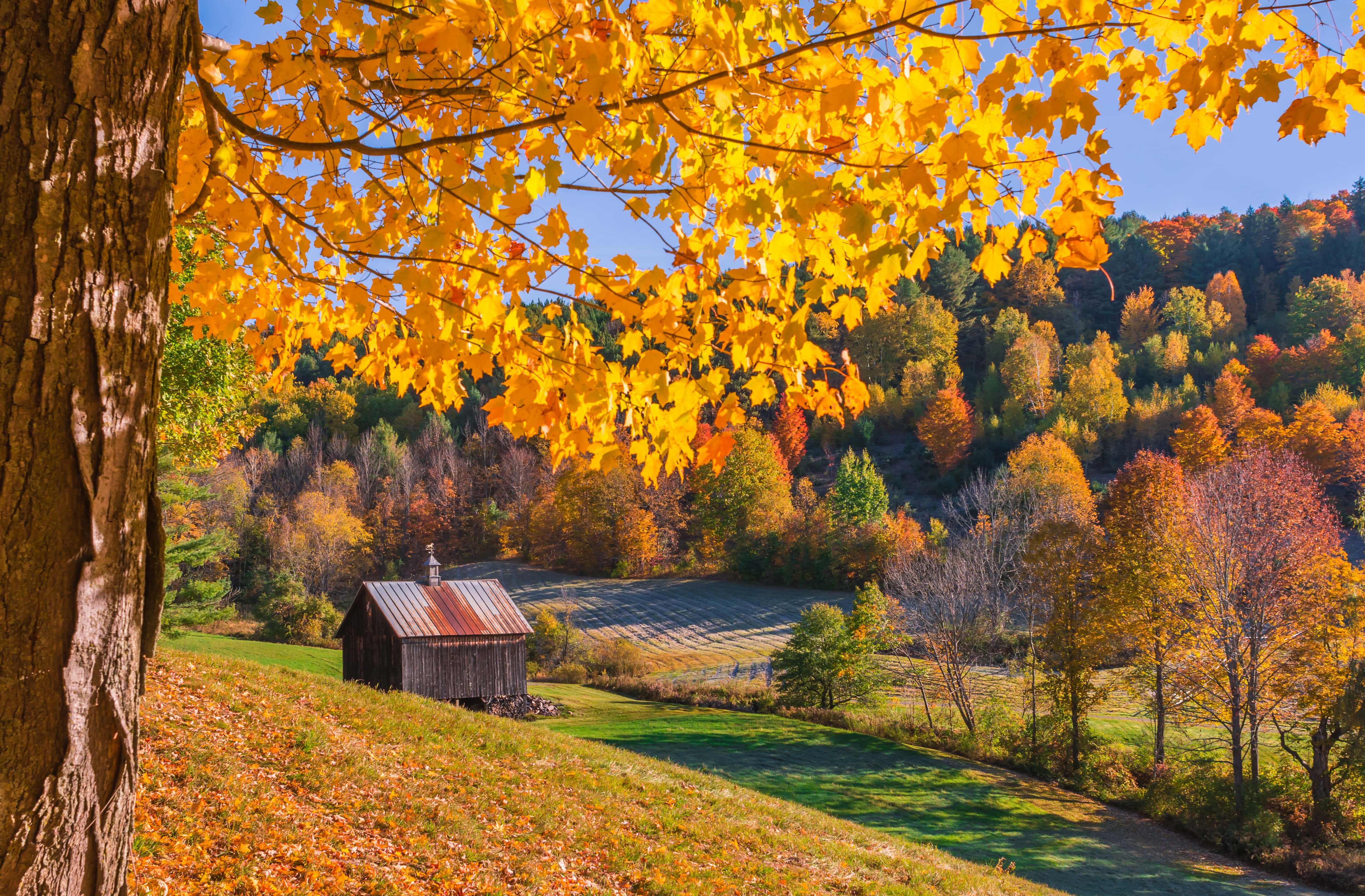 New England Autumn, rustic wooden shed, vibrant autumn valley, 4K Desktop Wallpaper
