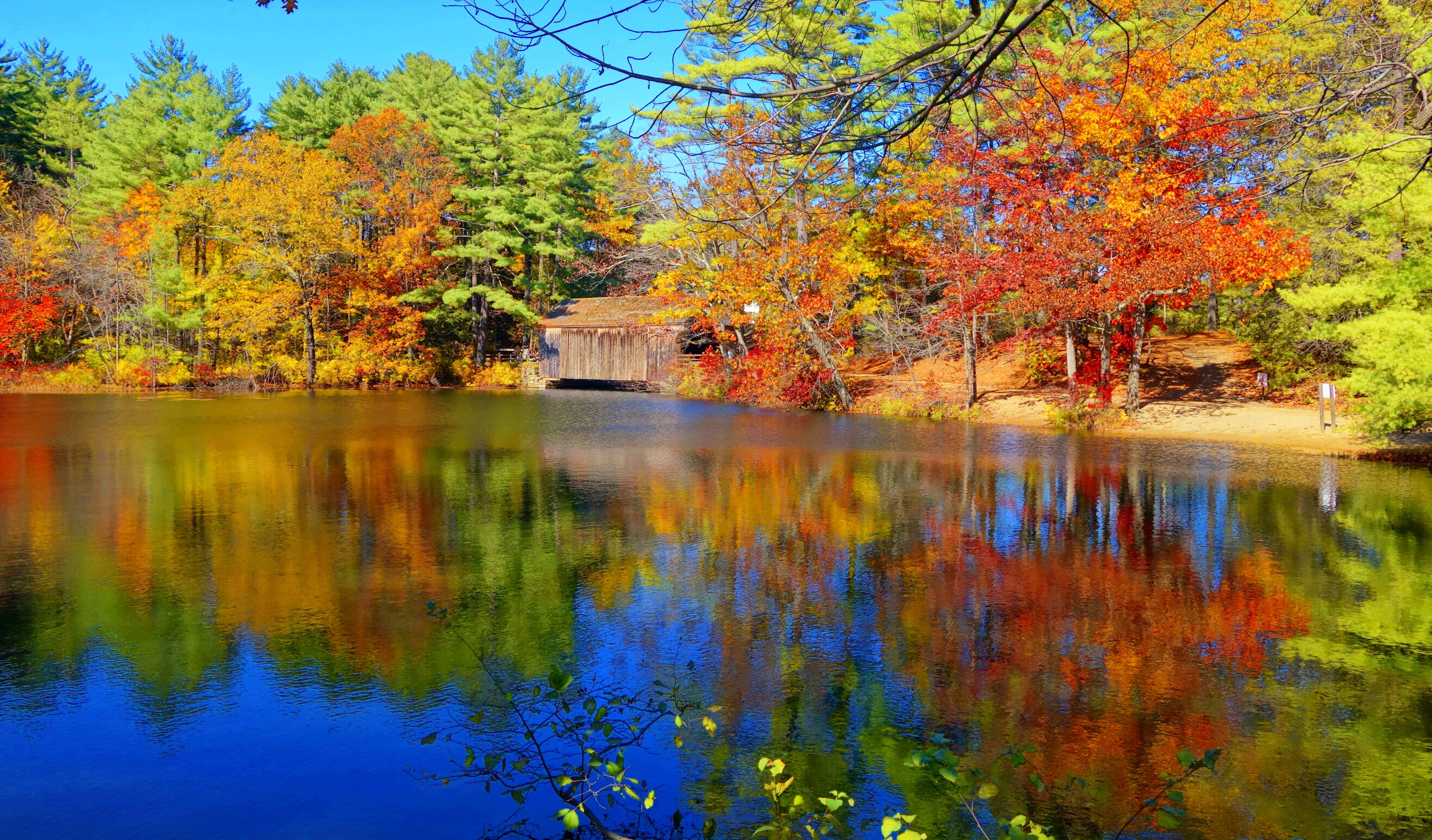 New England Autumn, wooden bridge, calm lake, 5K Desktop Wallpaper