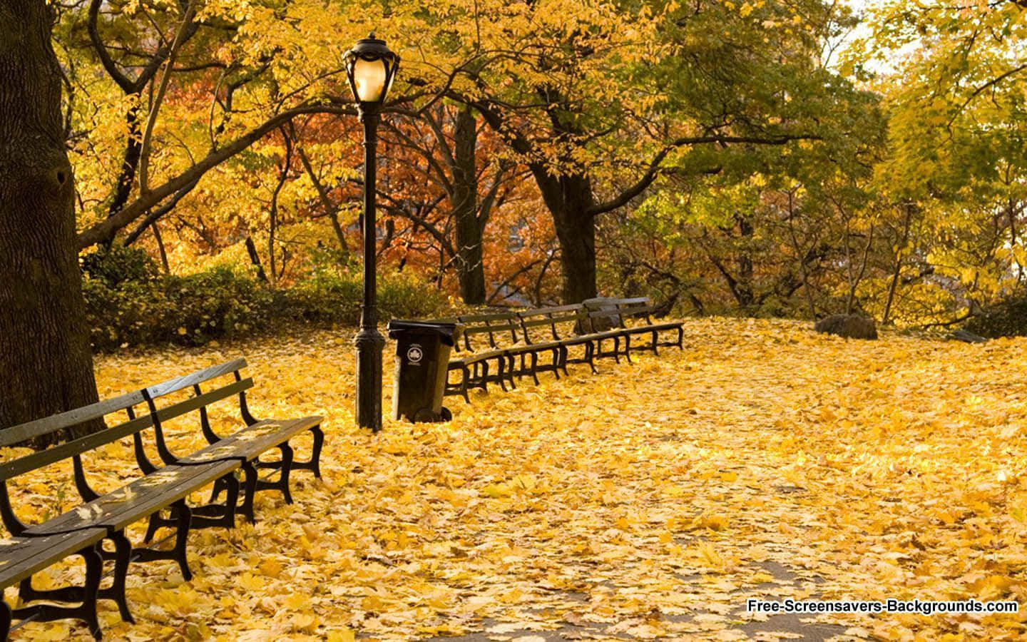 New England Autumn, autumn park path, golden leaves, HD Desktop Wallpaper