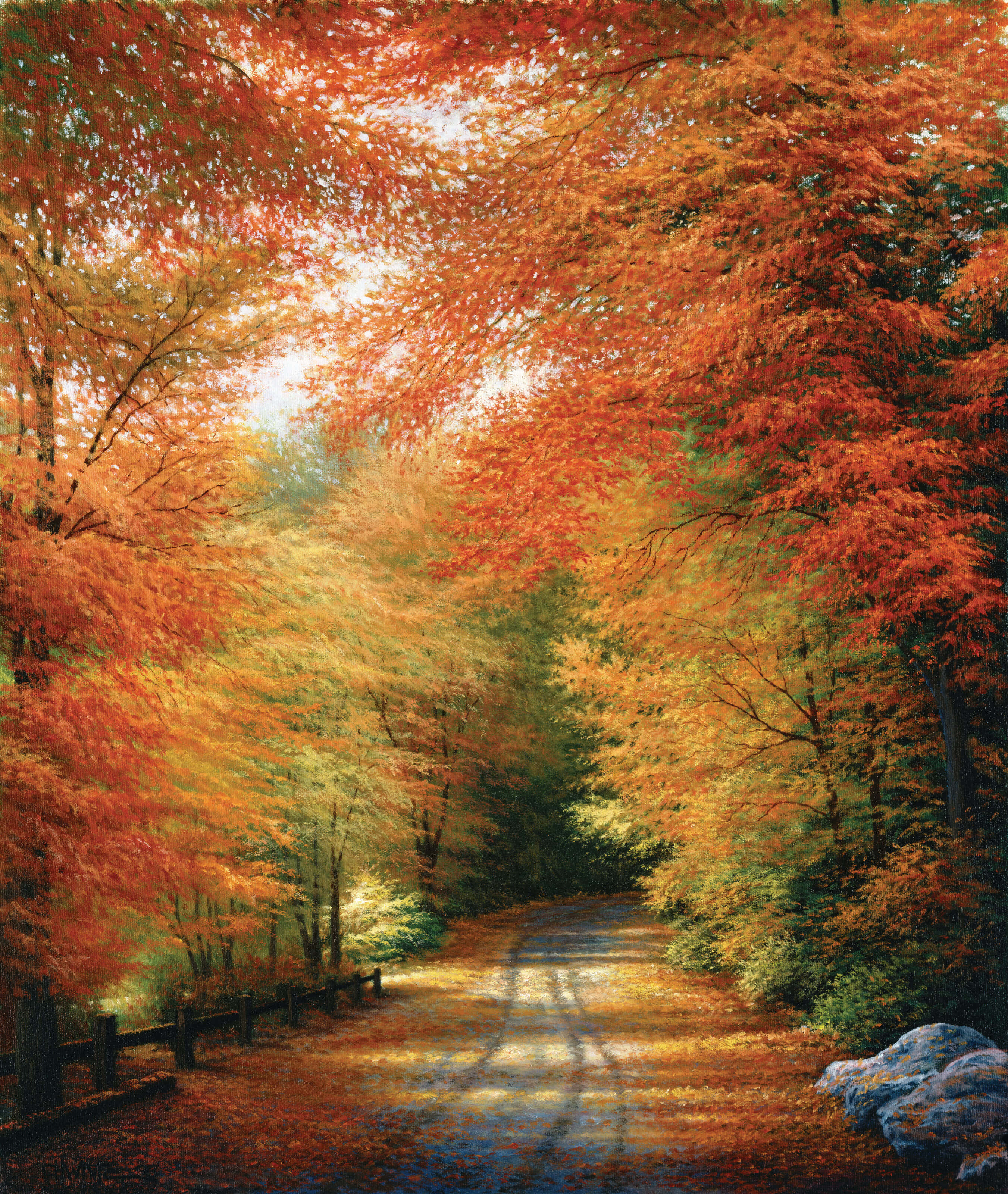 New England, autumn foliage, winding forest path, 2K Phone Wallpaper