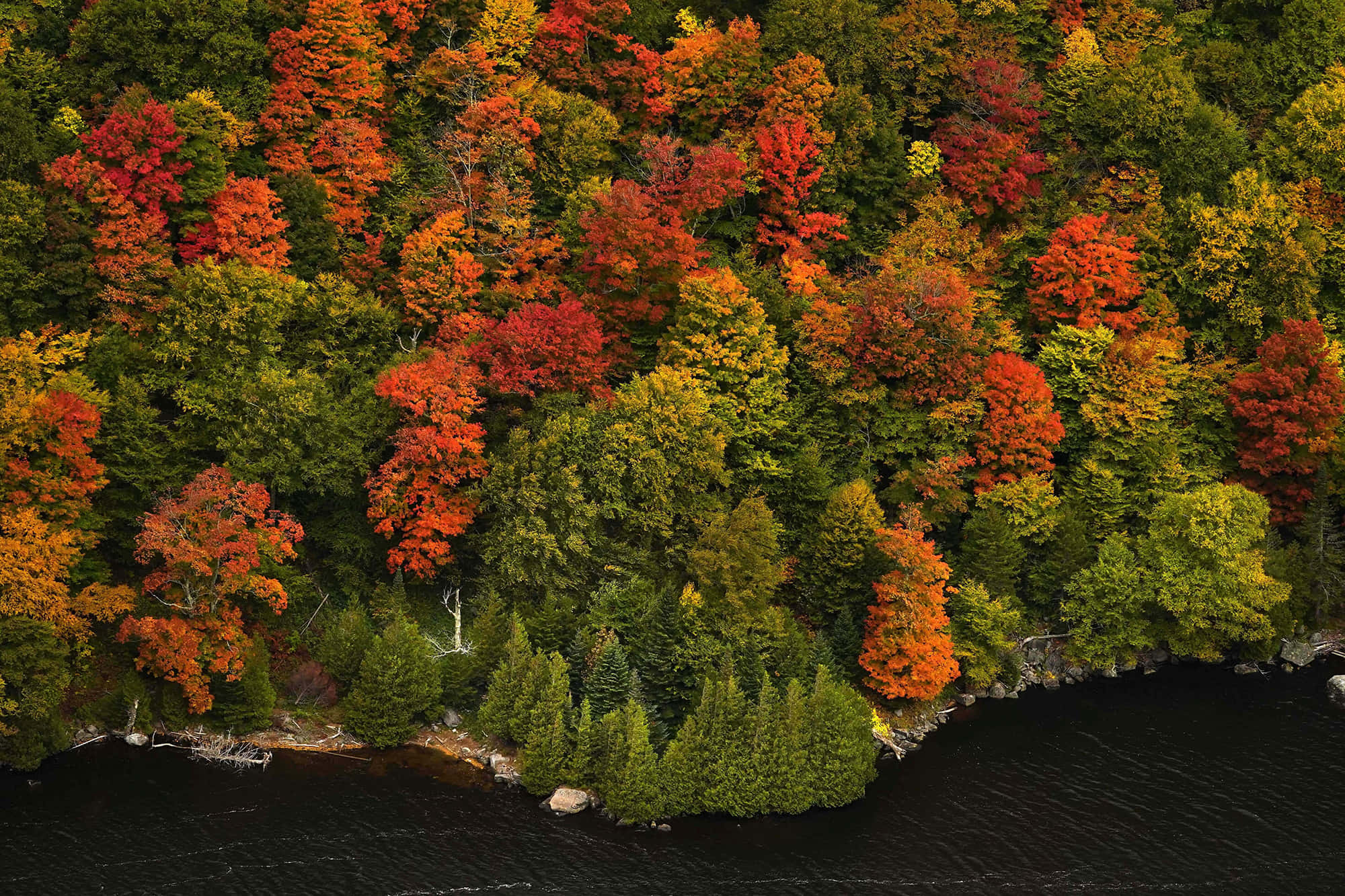 New England Autumn, autumn forest, red orange trees, Full HD Desktop Wallpaper