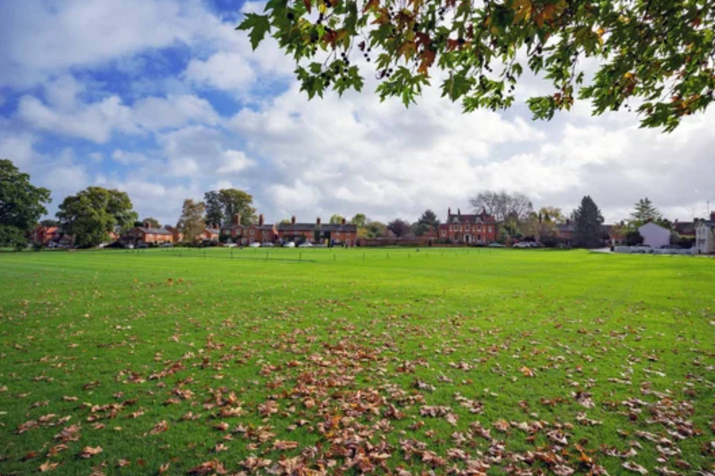 autumn leaves, cricket ground, vibrant green field, HD Desktop Wallpaper