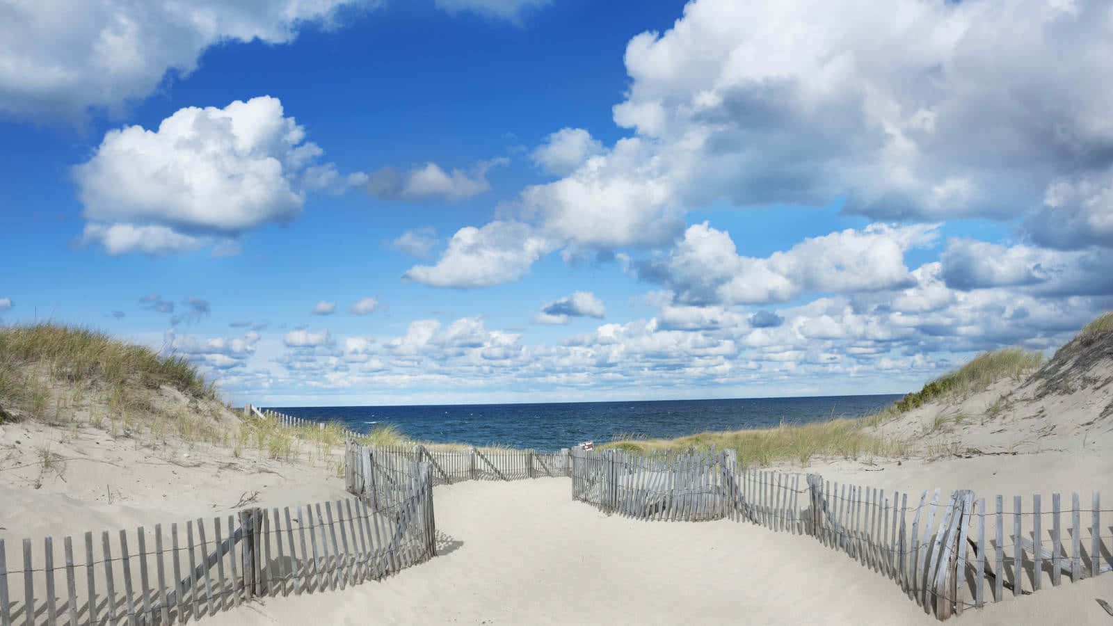 New England Summer, beach scenery, sandy path, HD Desktop Wallpaper