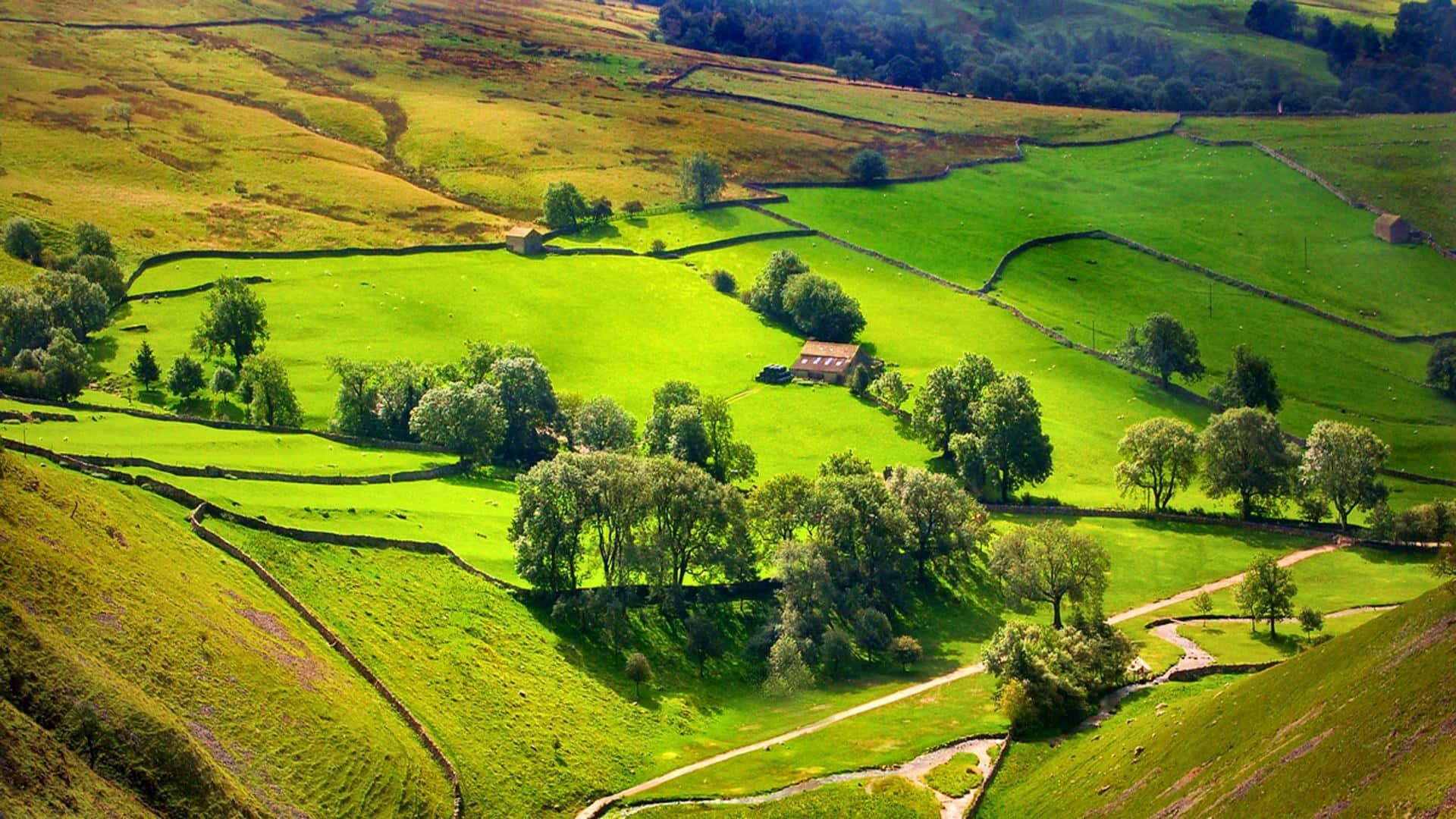 New England Summer, rolling green hills, stone walls, Full HD Desktop Wallpaper