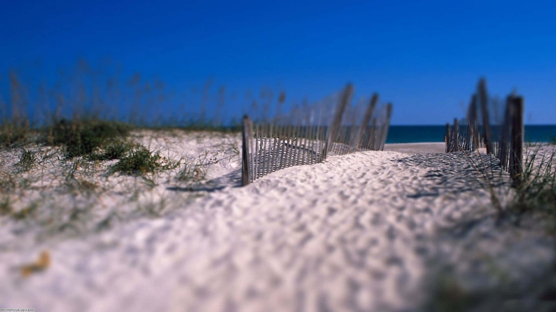 New England Summer, white sand dunes, weathered wooden fence, Full HD Desktop Wallpaper