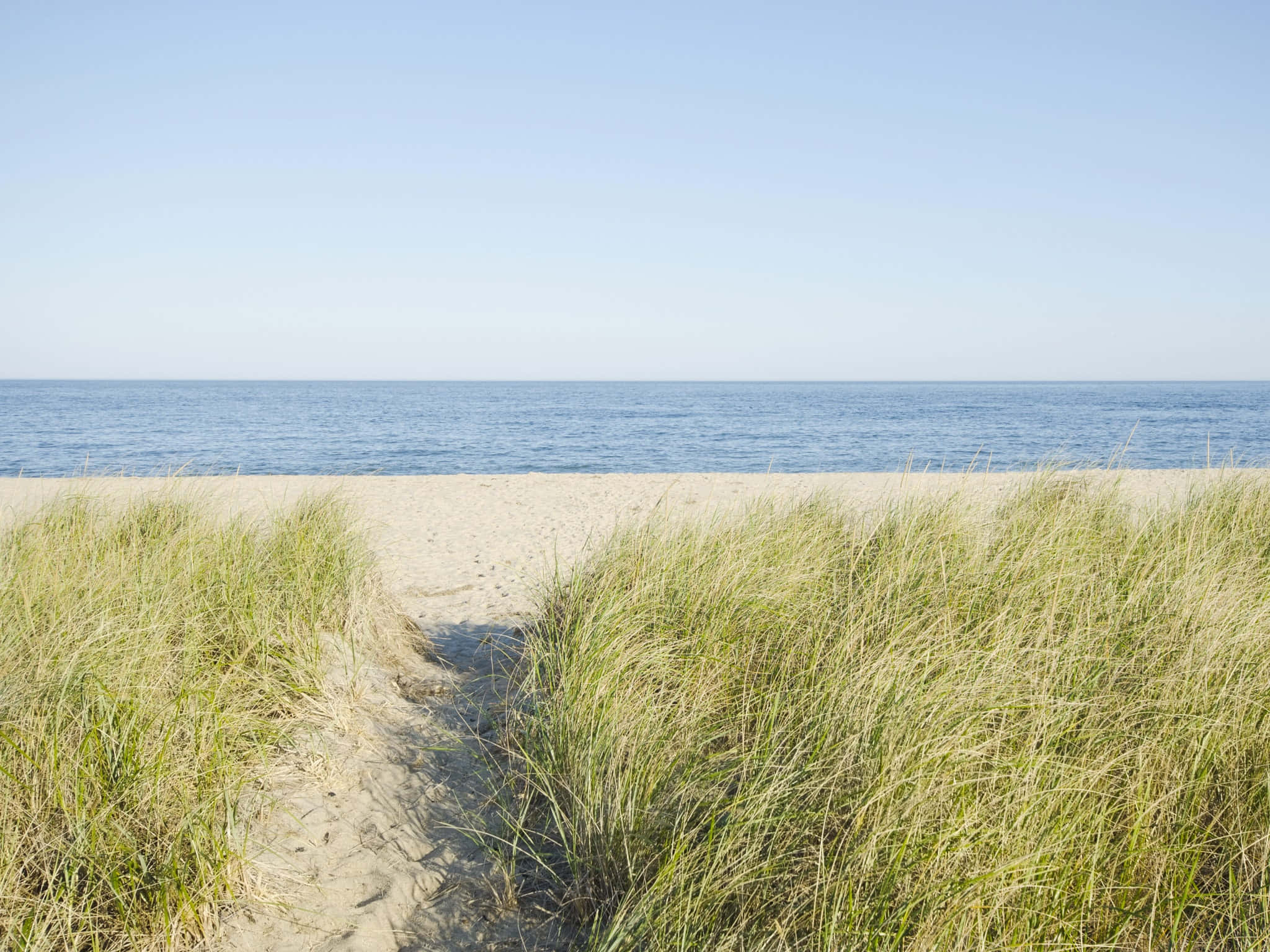 New England Summer, Grass Beach, sandy path, Full HD Desktop Wallpaper