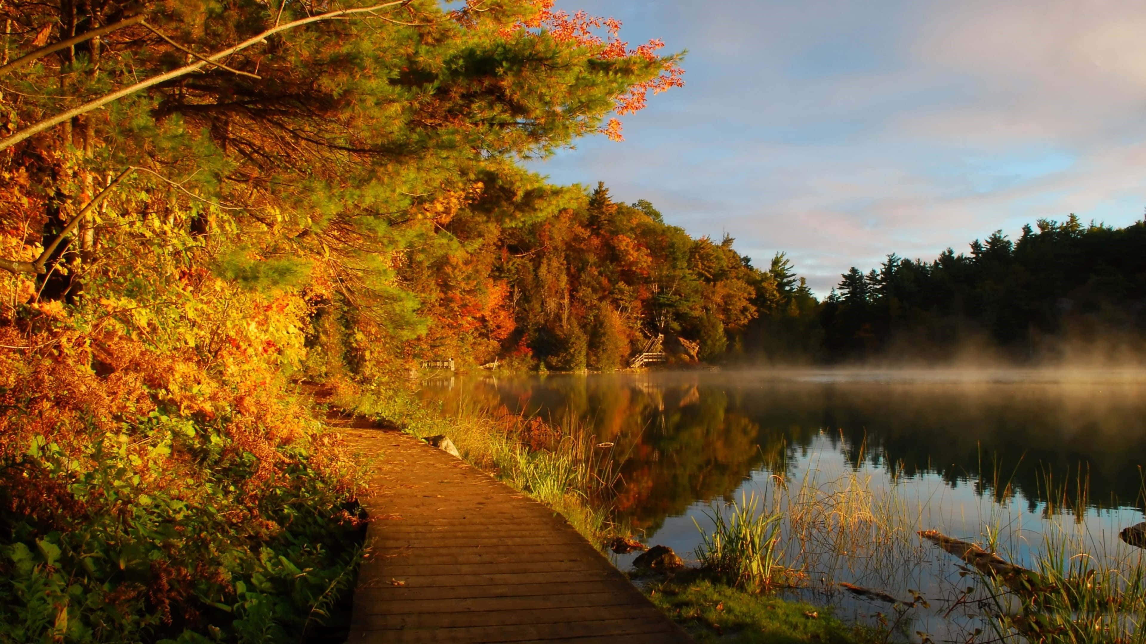 New England Summer, park lake, wooden boardwalk, 4K Desktop Wallpaper