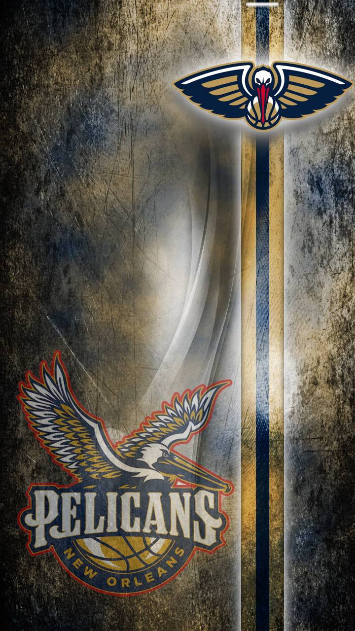 New Orleans Pelicans, pelican, team name, HD Phone Wallpaper