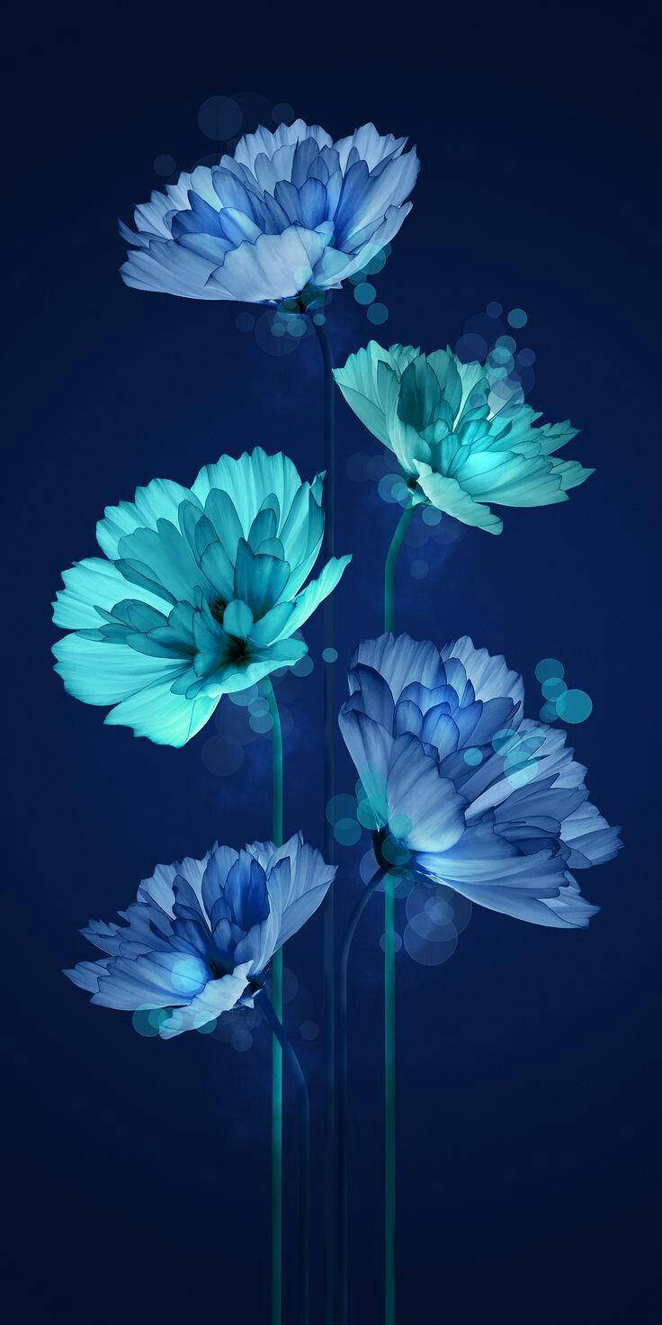 neon blue flowers, deep navy backdrop, soft bokeh lights, HD Phone Wallpaper
