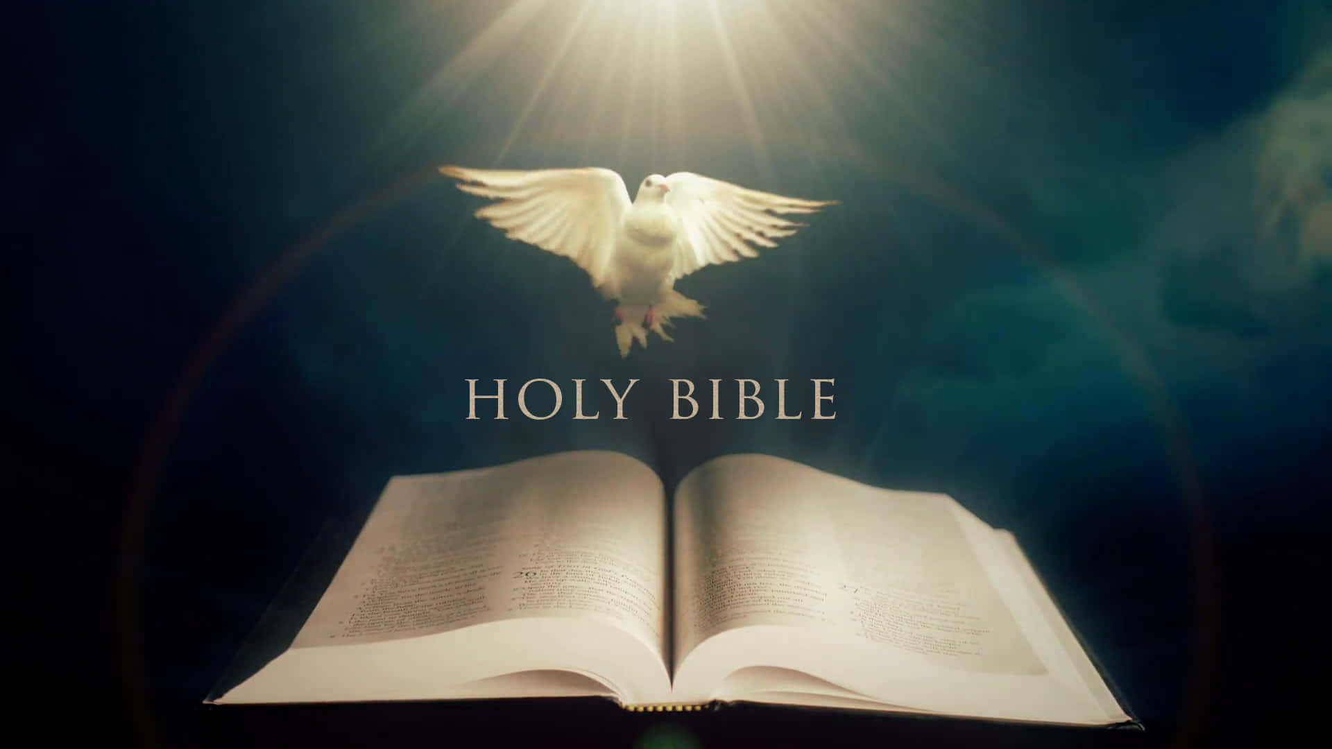 New Testament, white dove, open holy bible, Full HD Desktop Wallpaper