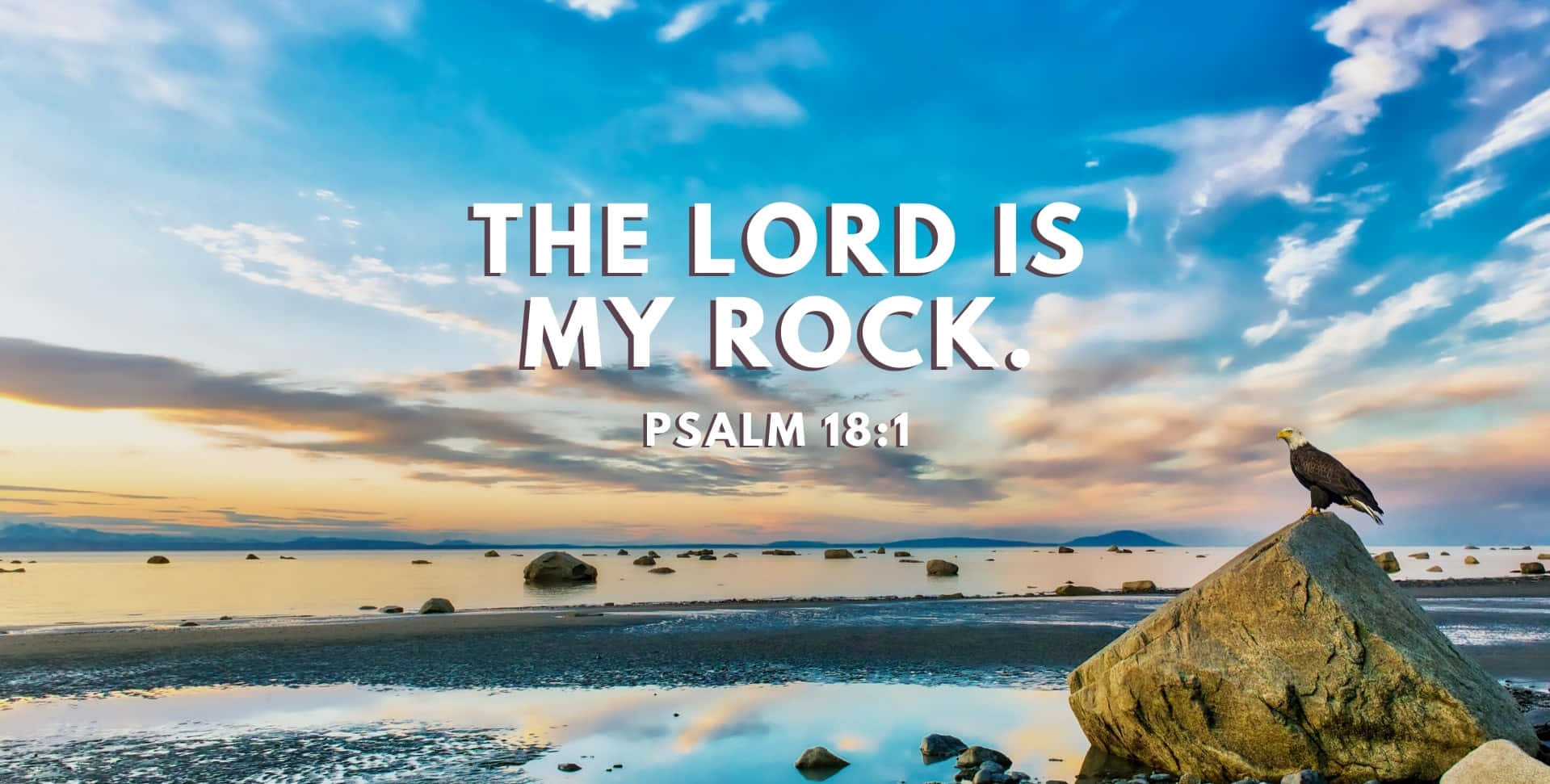 New Testament, bald eagle, rocky shore, HD Desktop Wallpaper